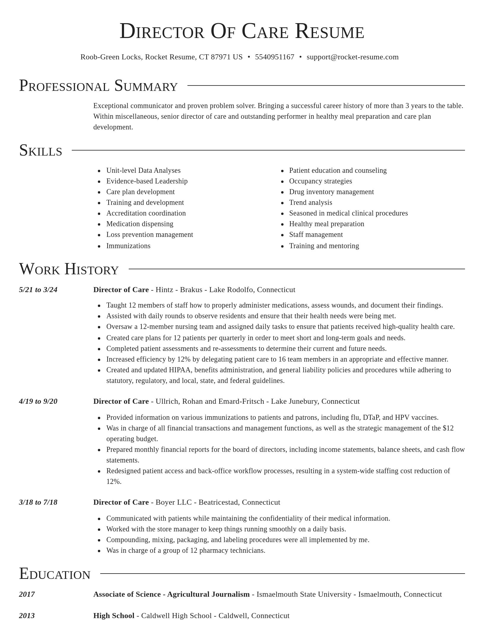 Director resume template