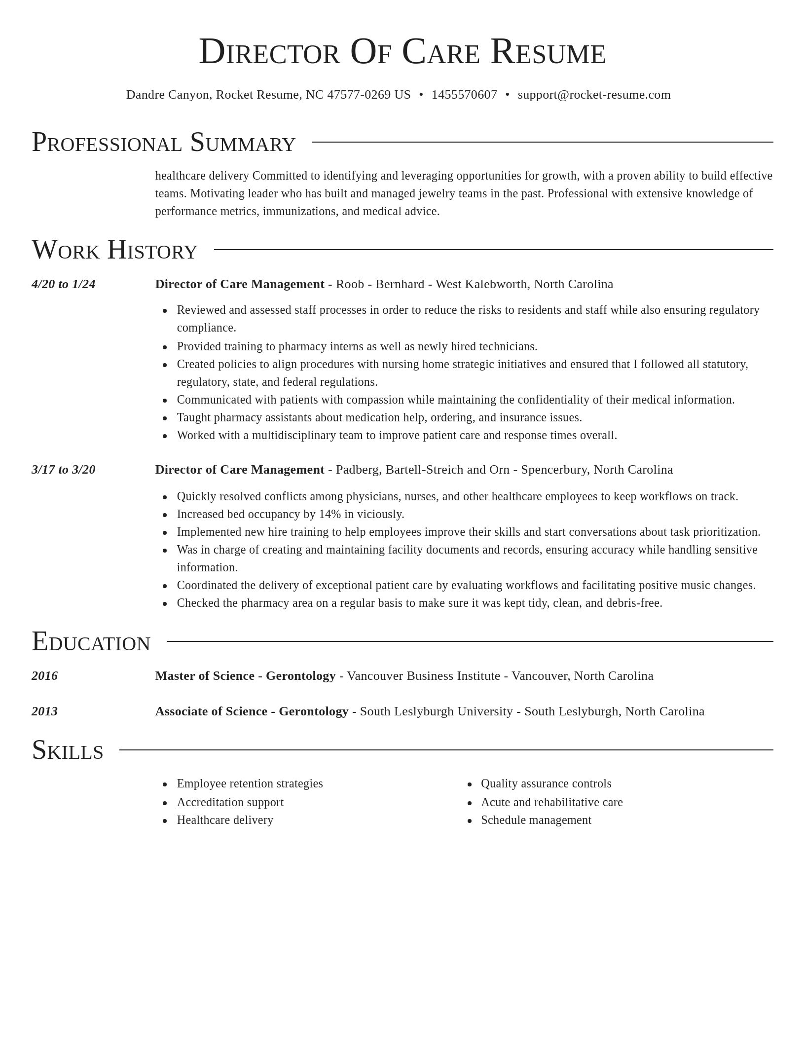 Director resume template
