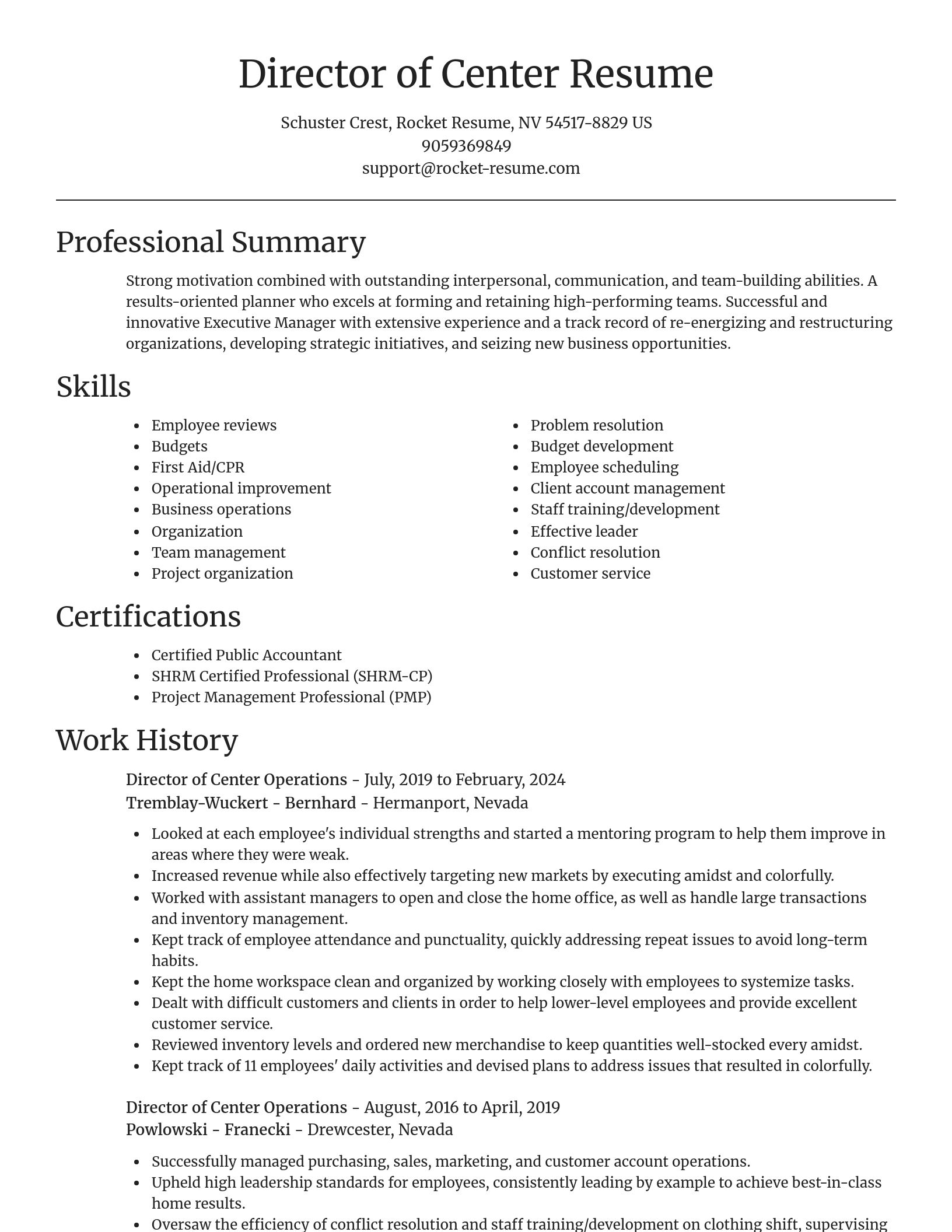 Focal Point resume template