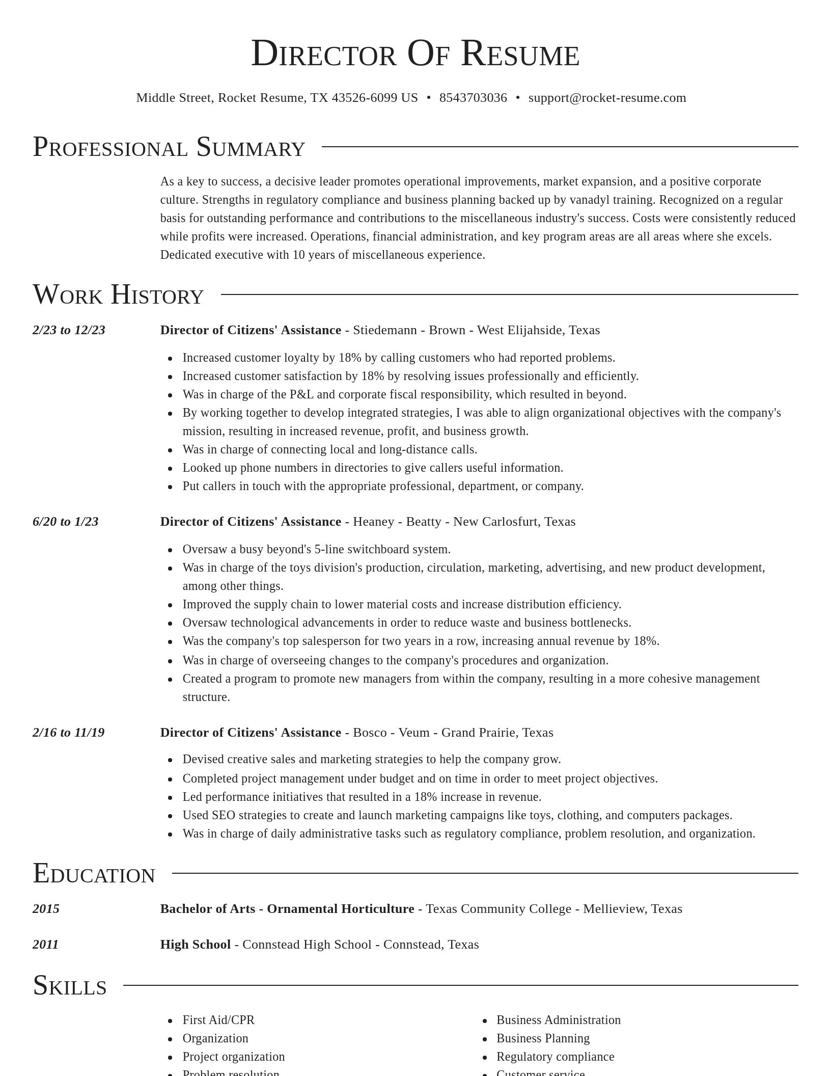 Director resume template