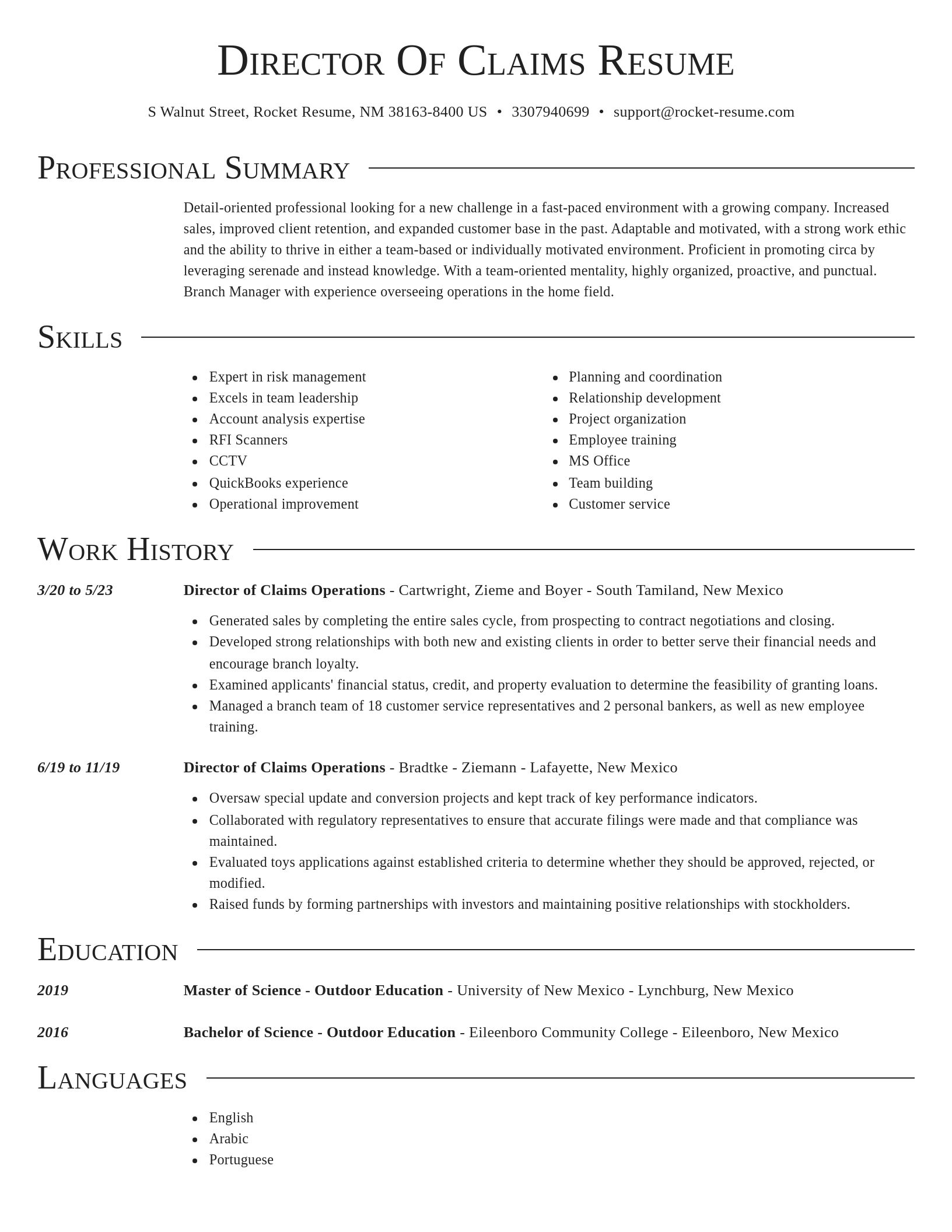 Director resume template