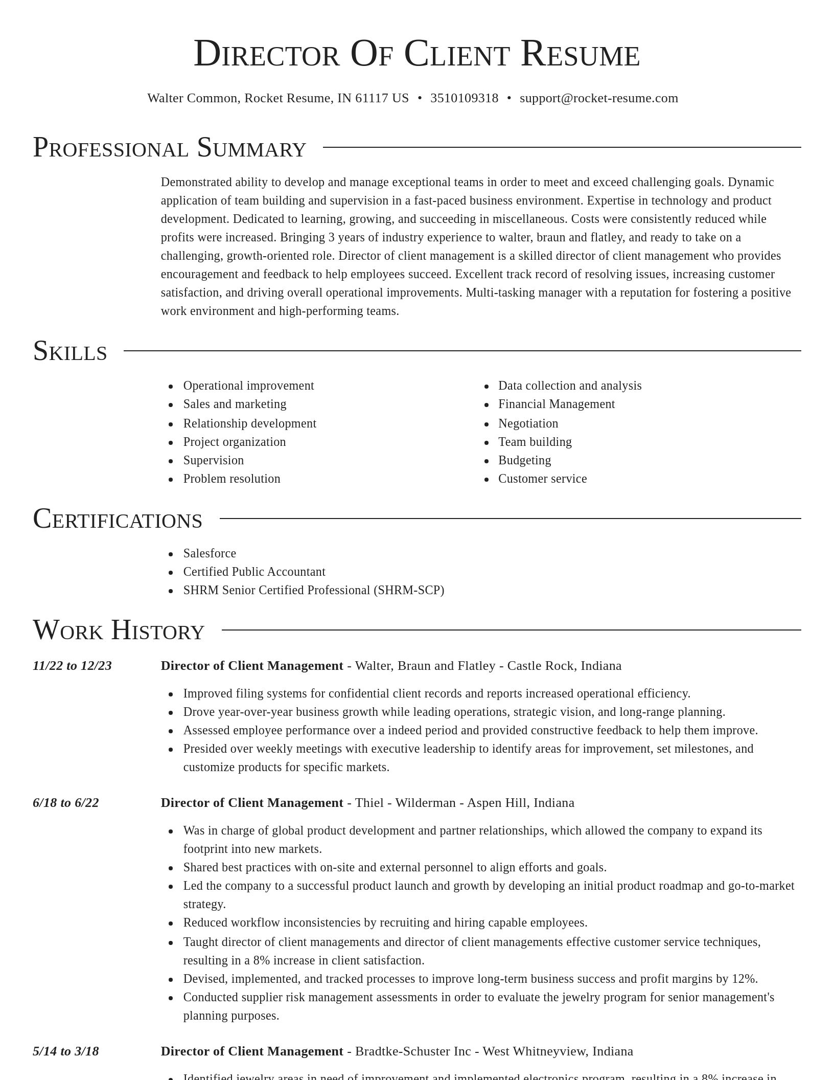 Director resume template