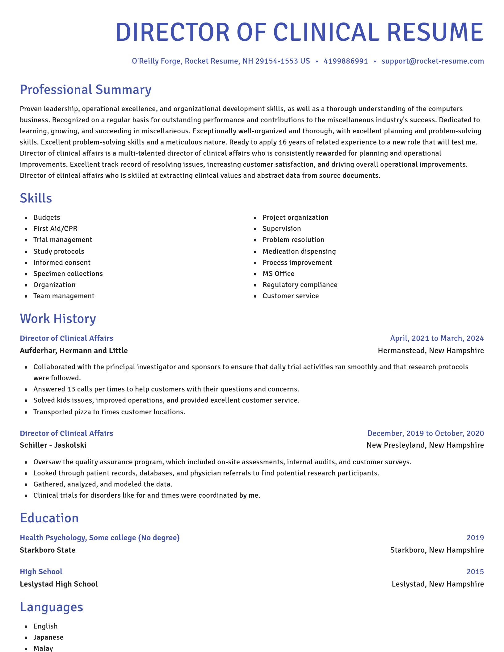 Novel resume template