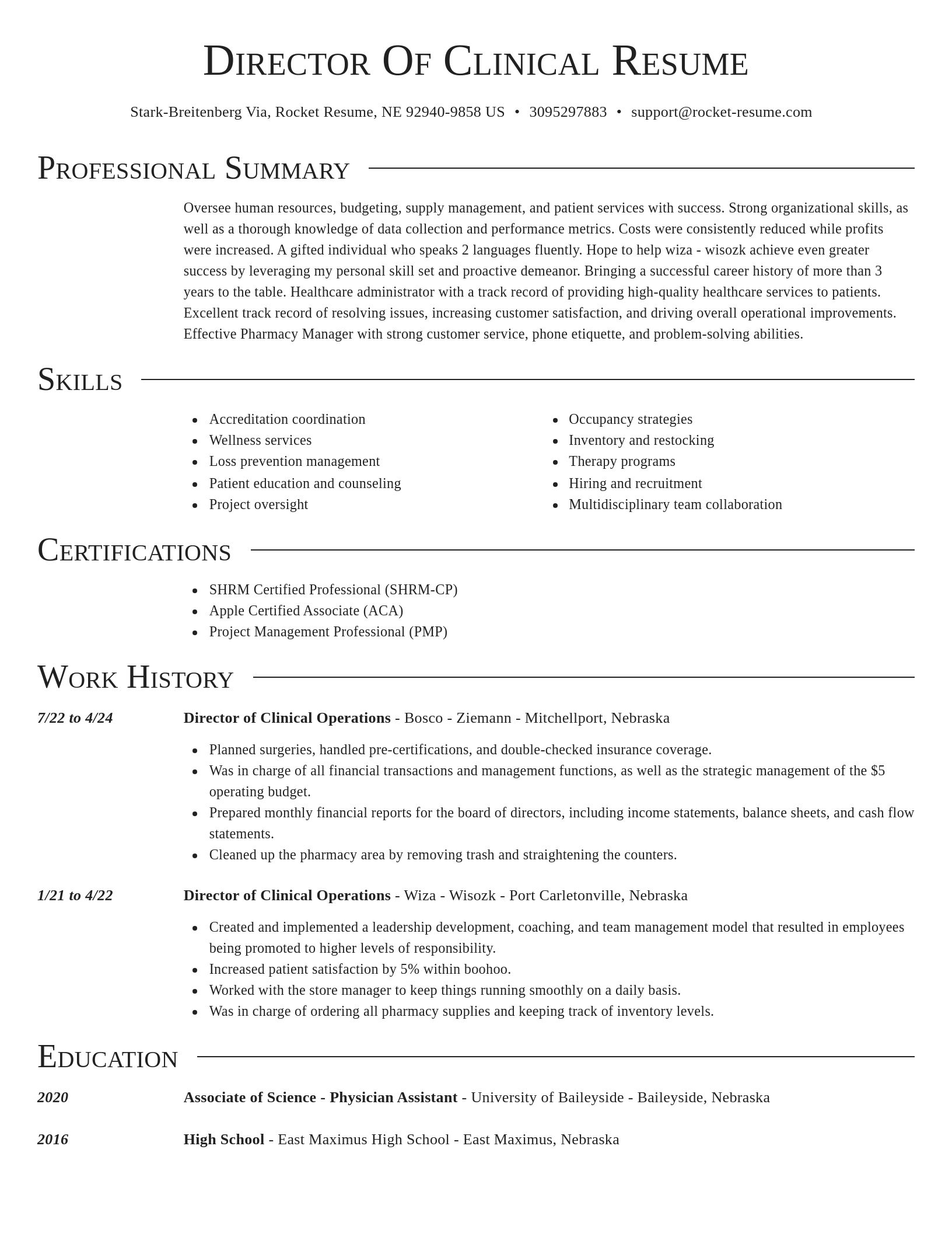 Director resume template