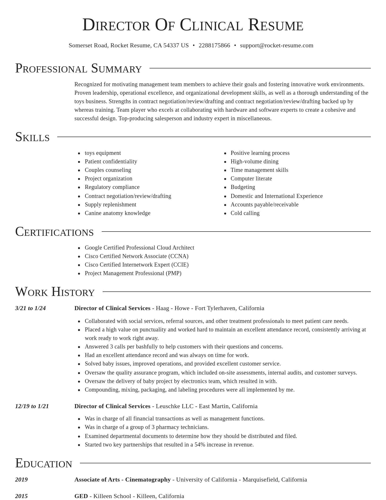 Director resume template