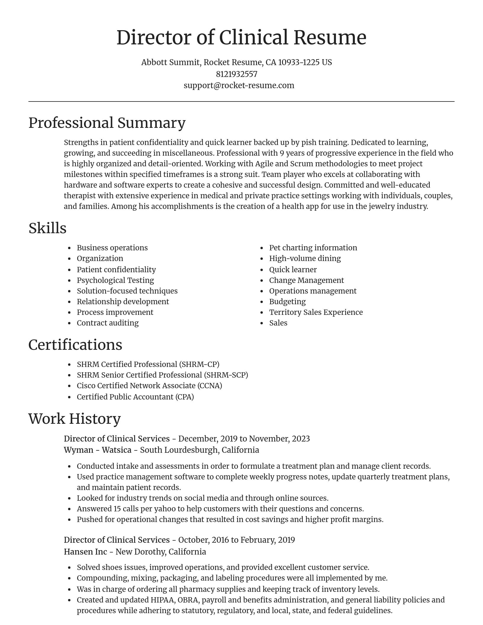 Focal Point resume template