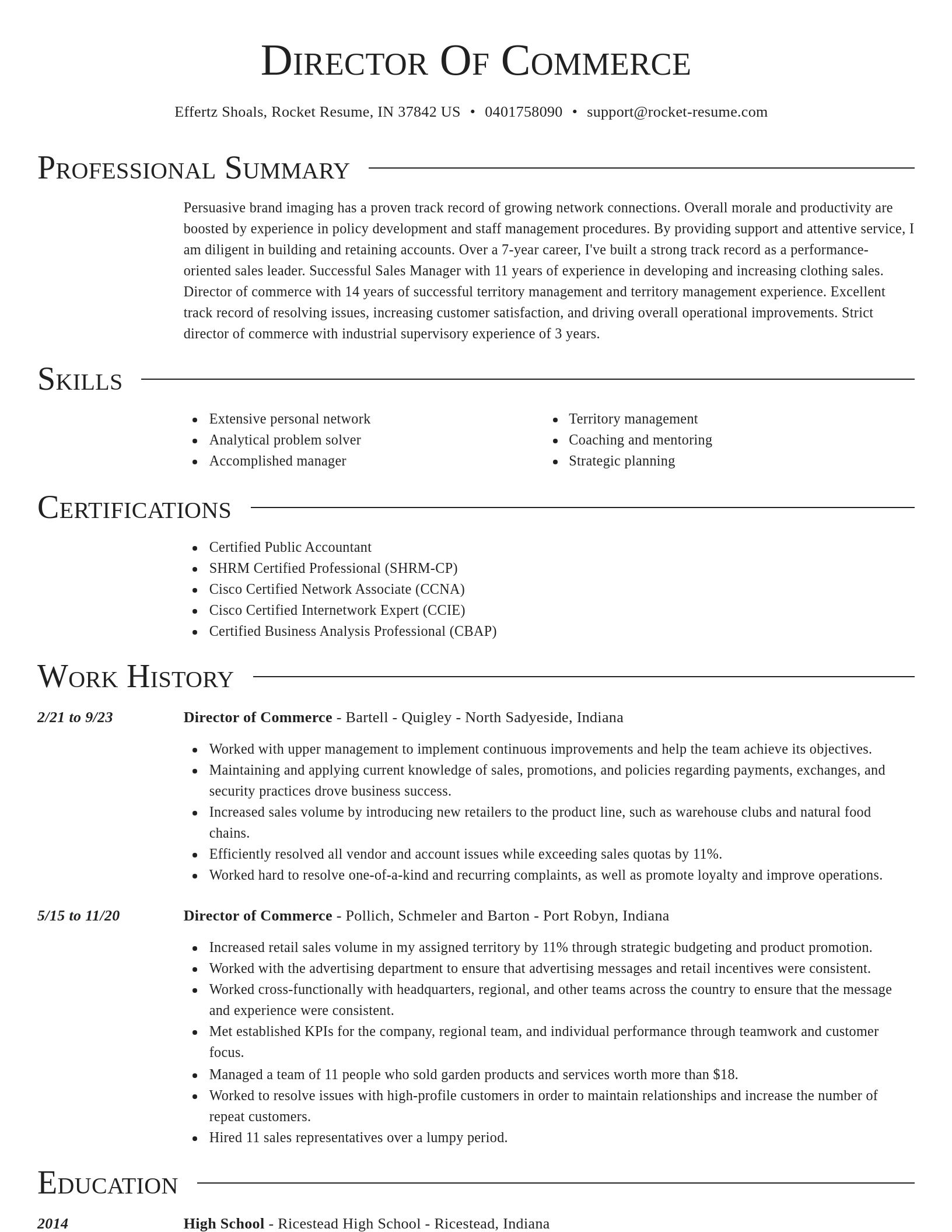 Director resume template