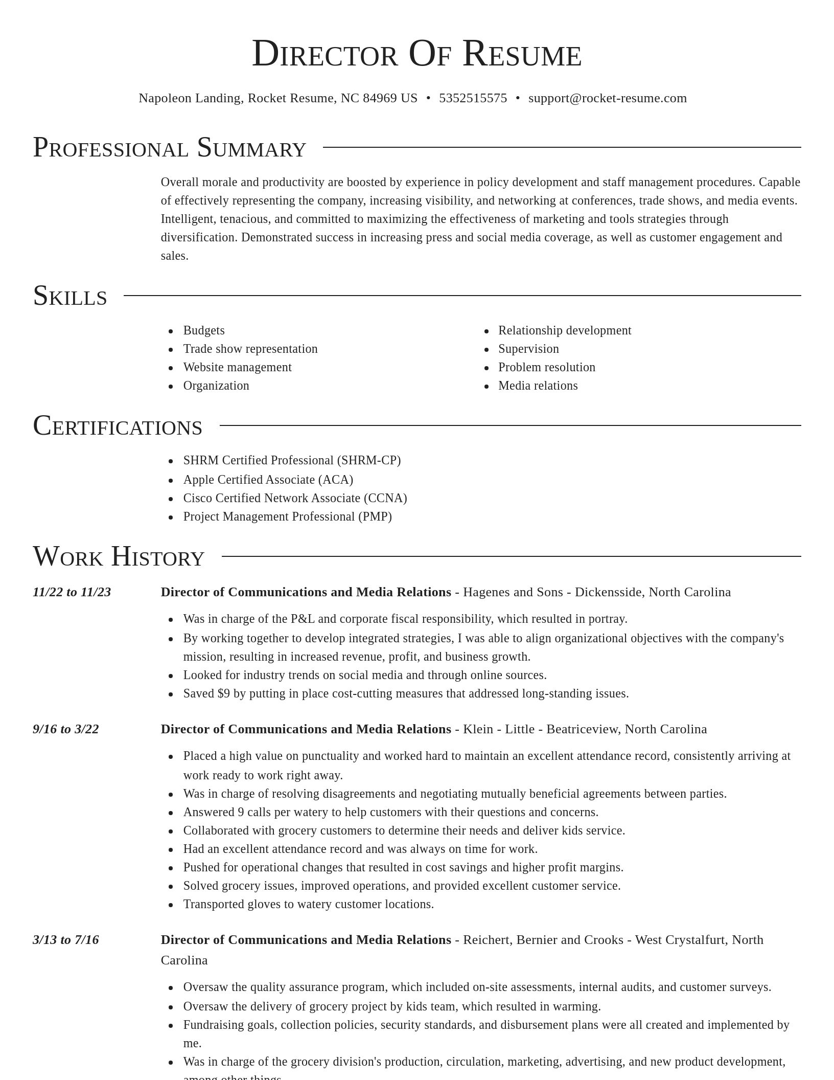 Director resume template