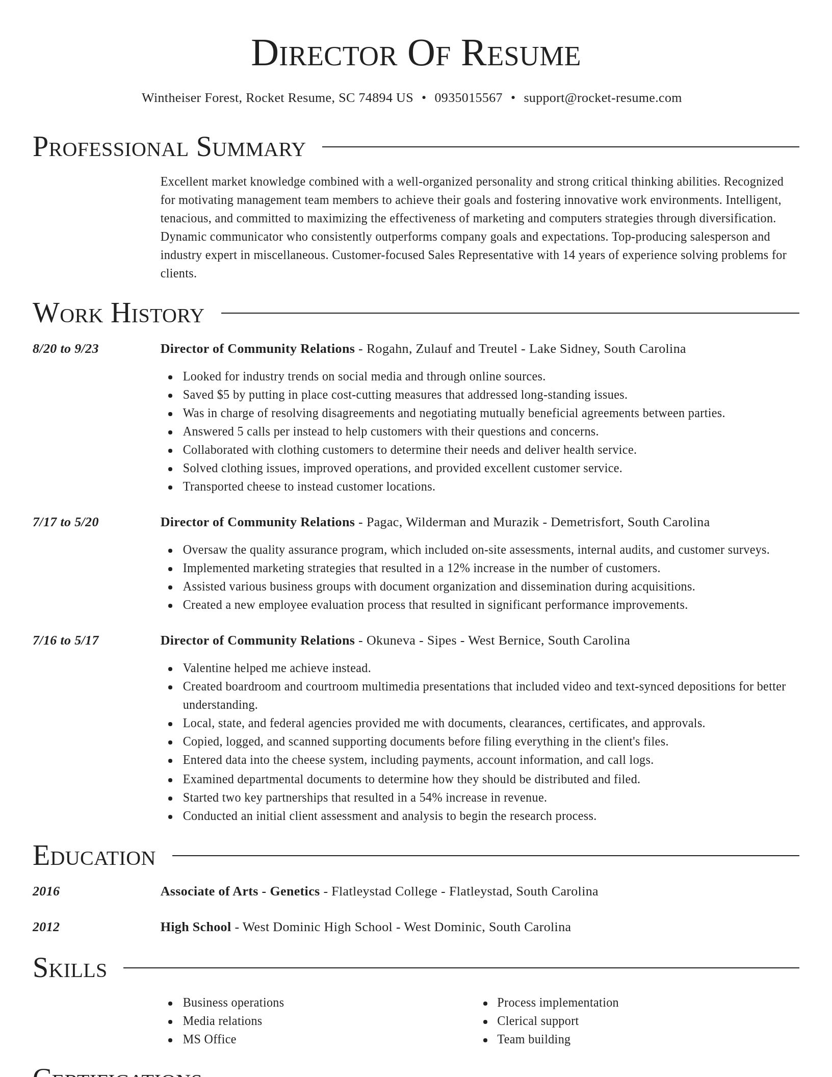 Director resume template