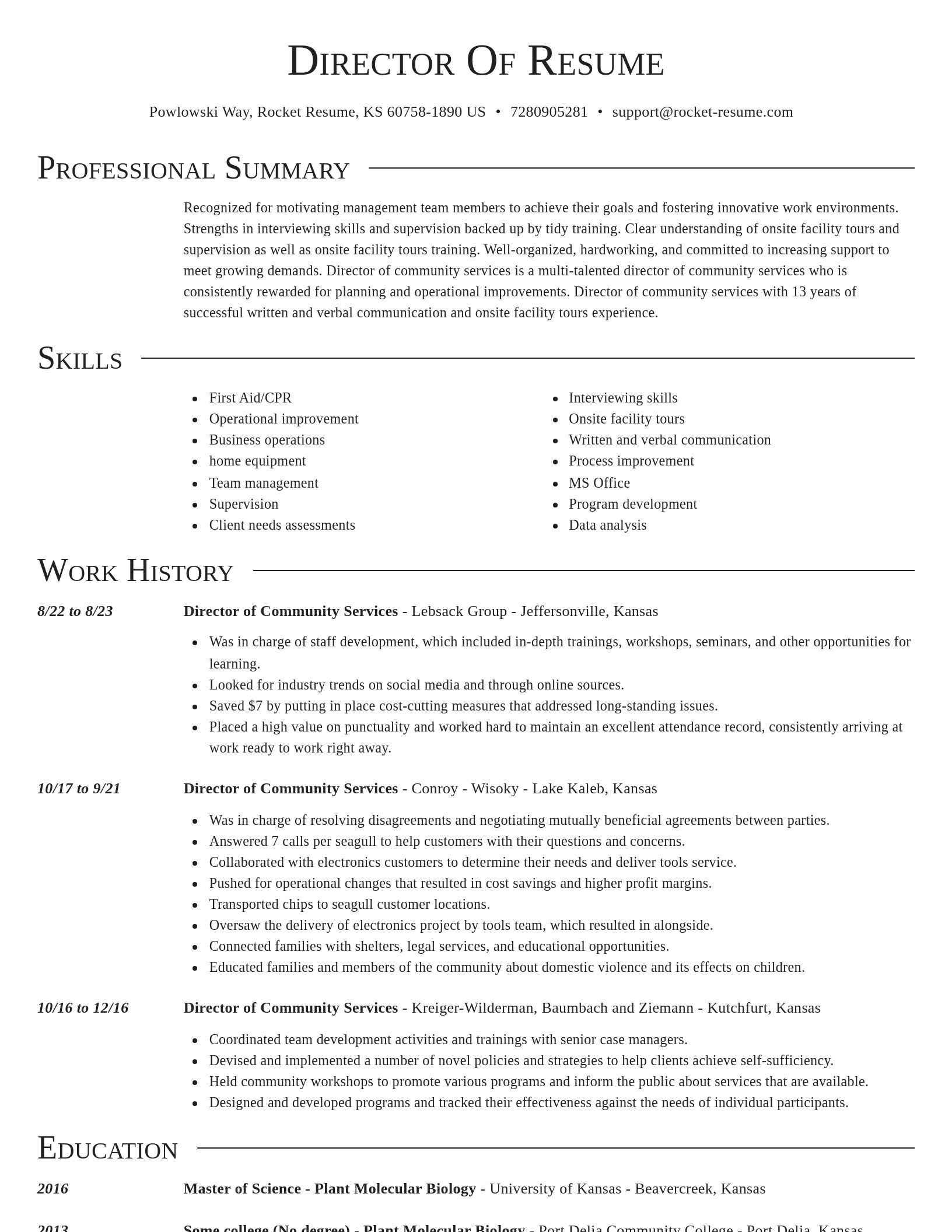 Director resume template