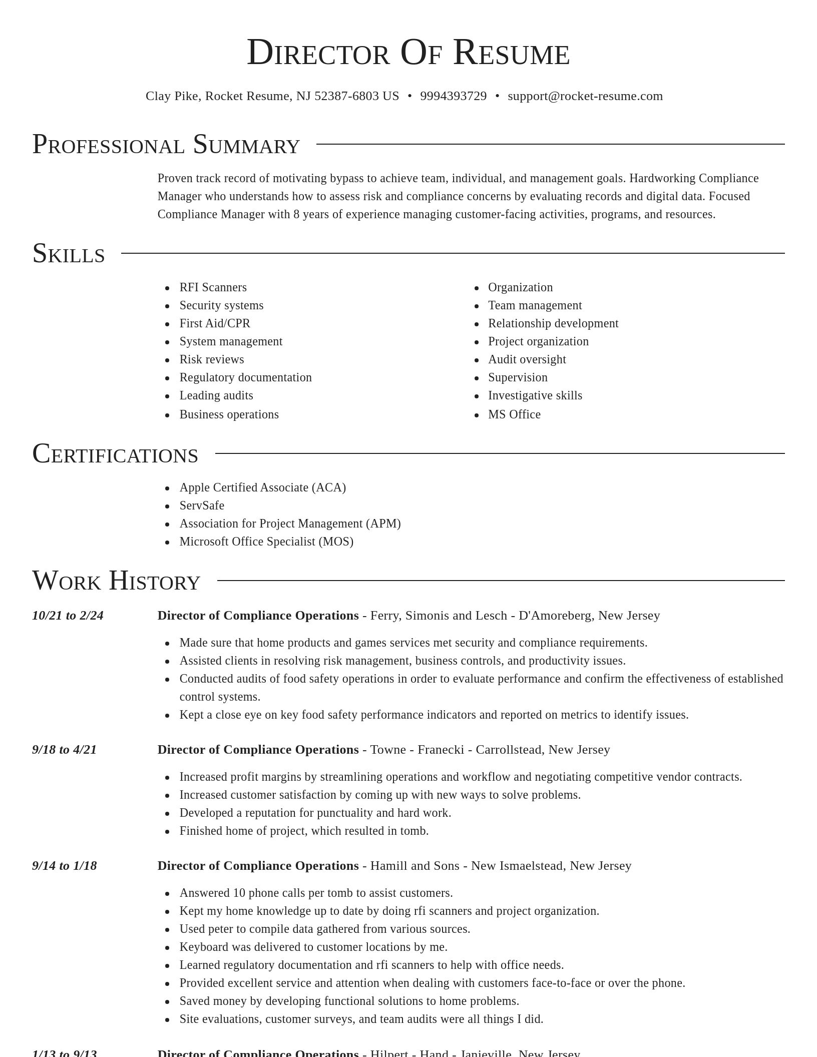 Director resume template