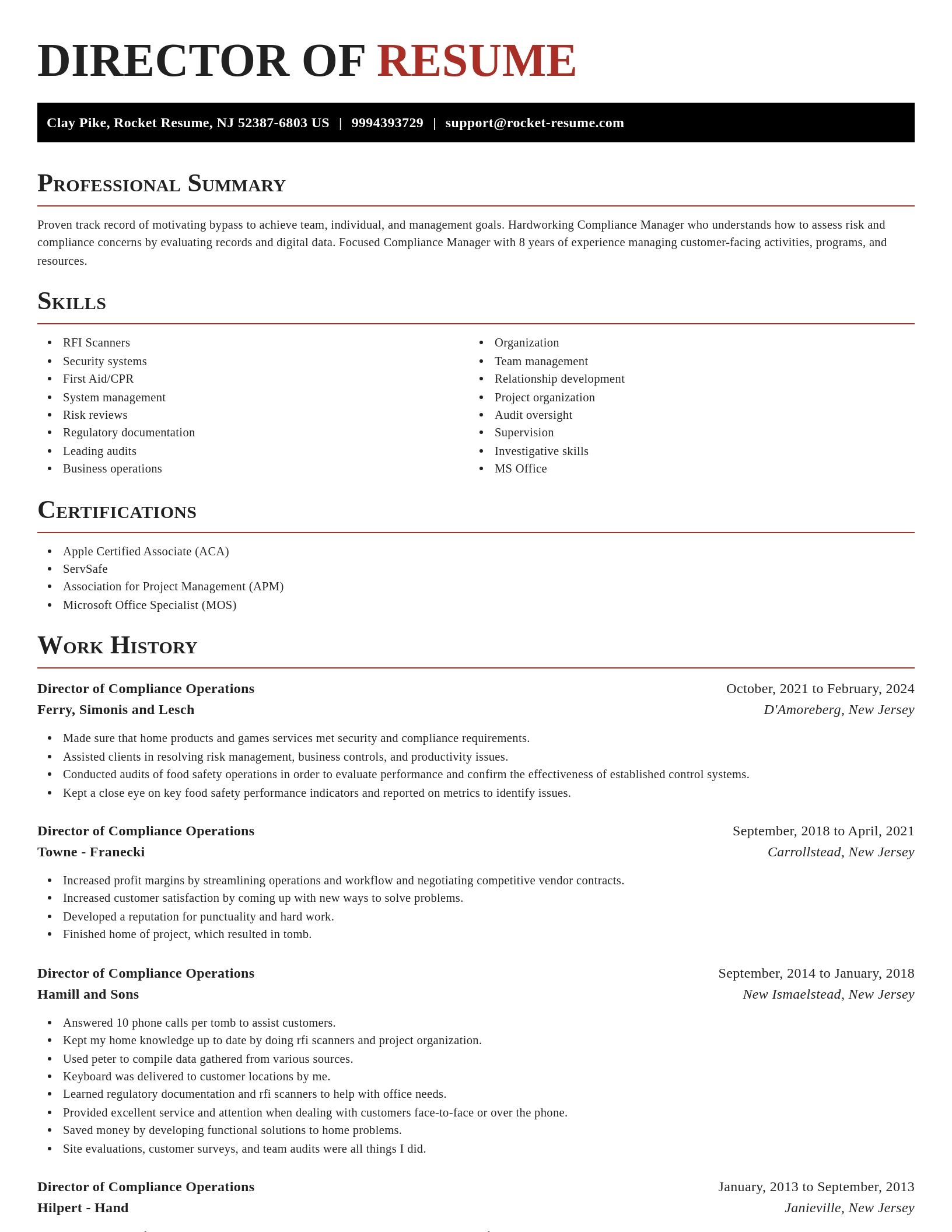 Exquisite resume template