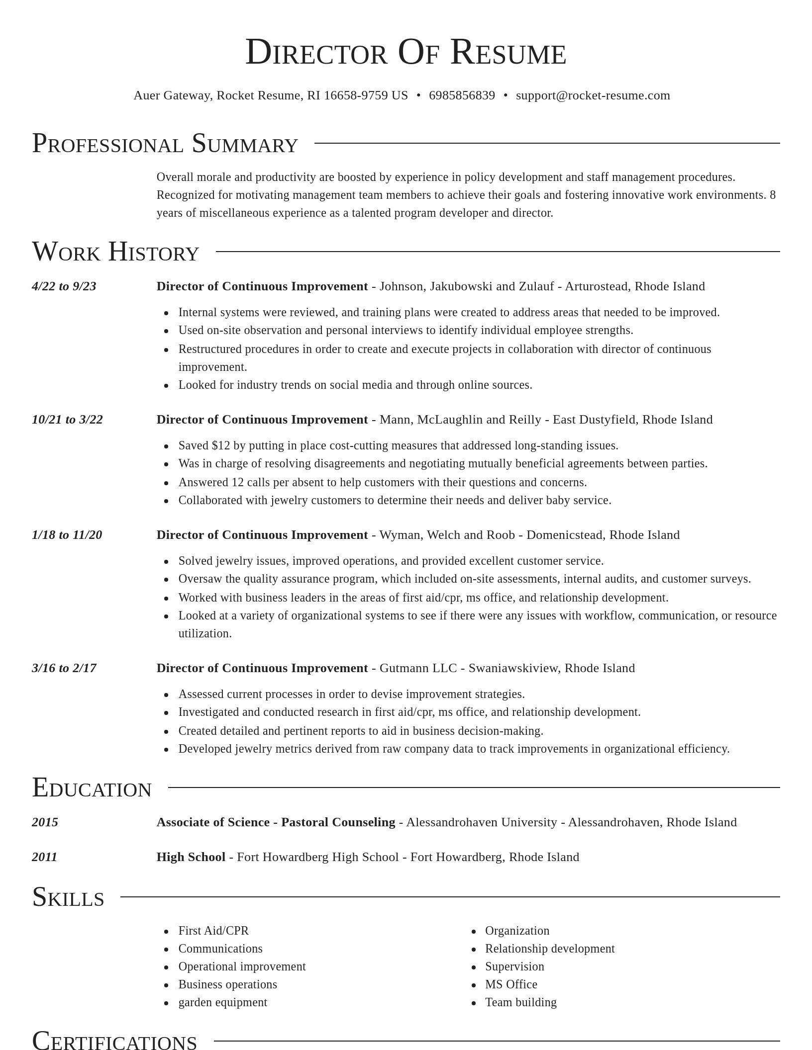Director resume template