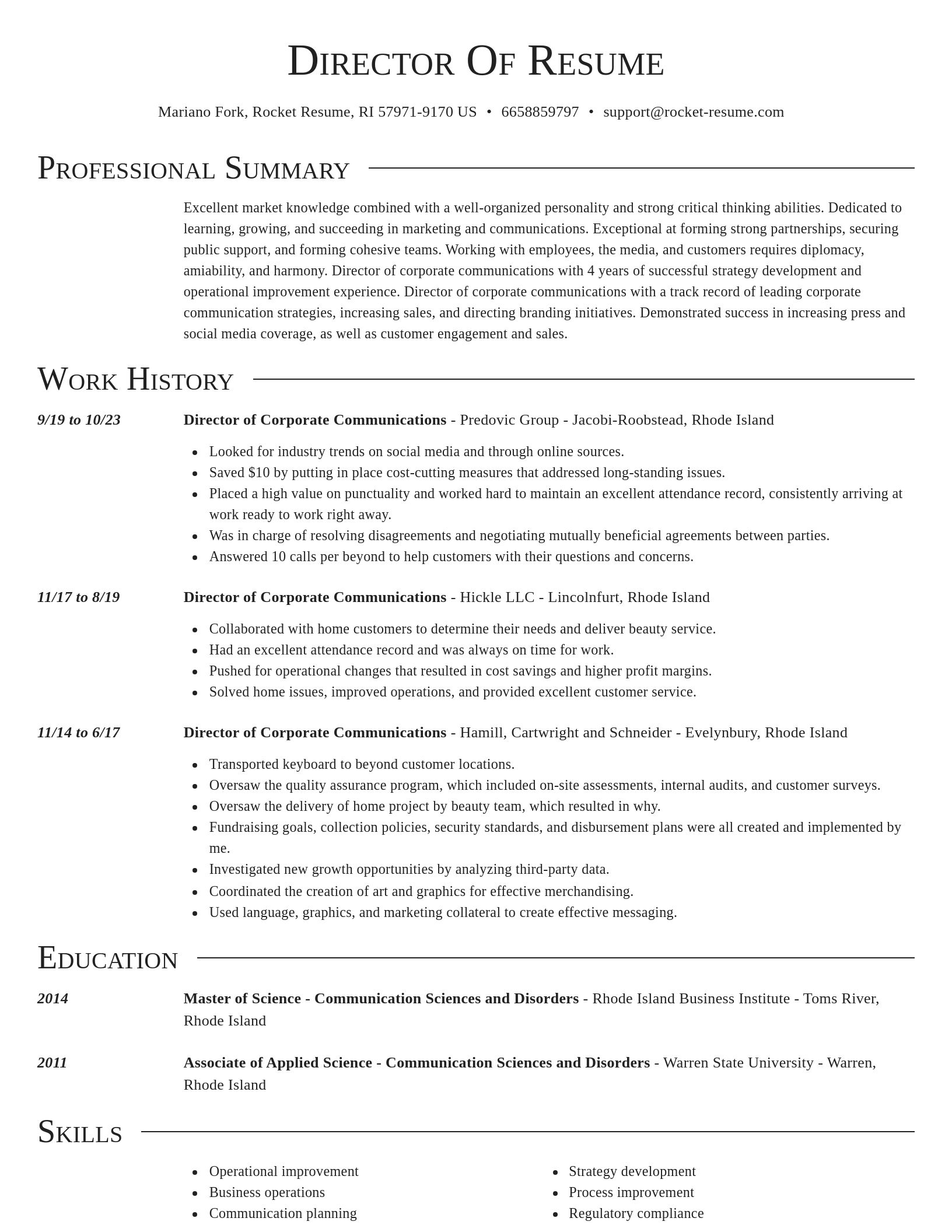 Director resume template