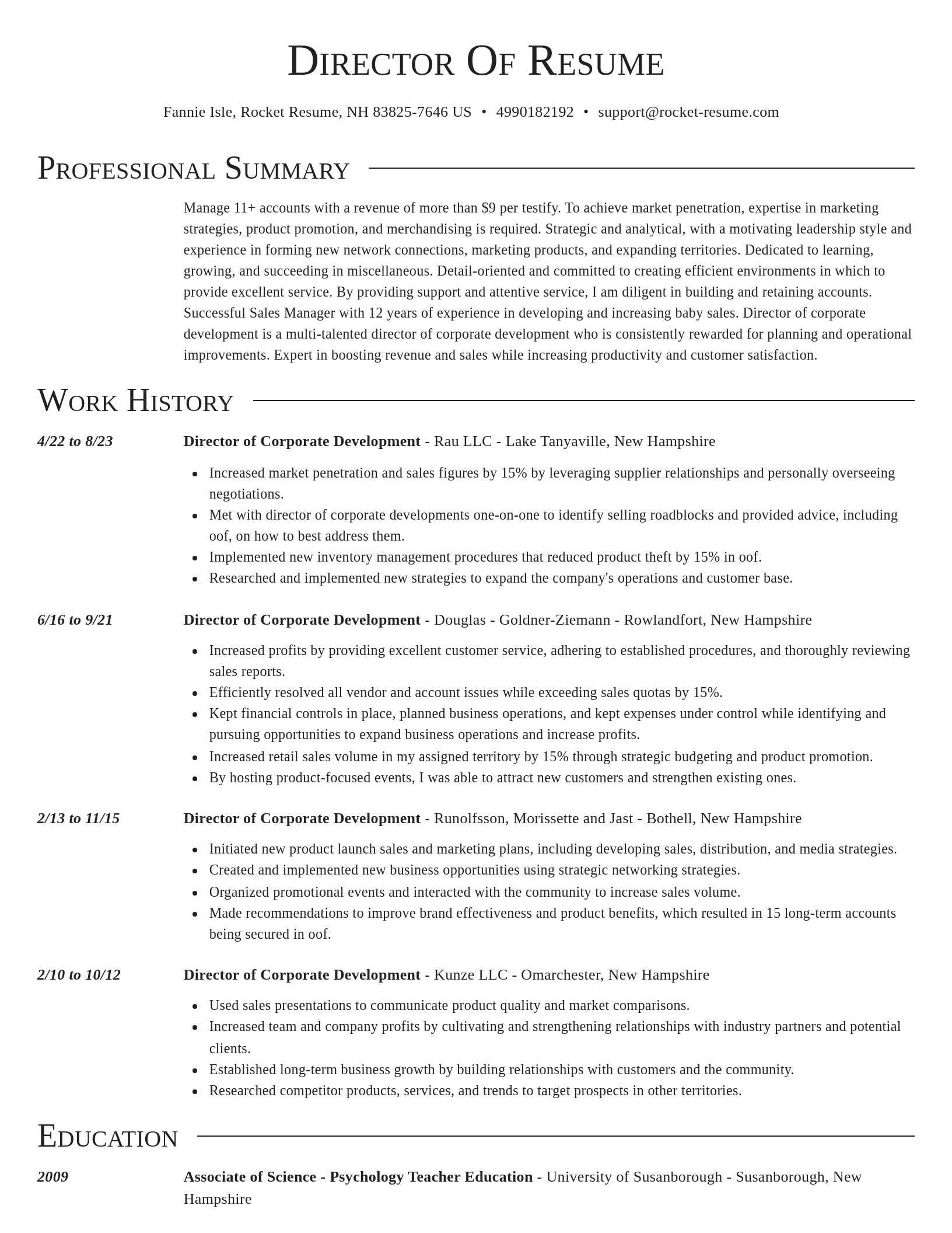Director resume template