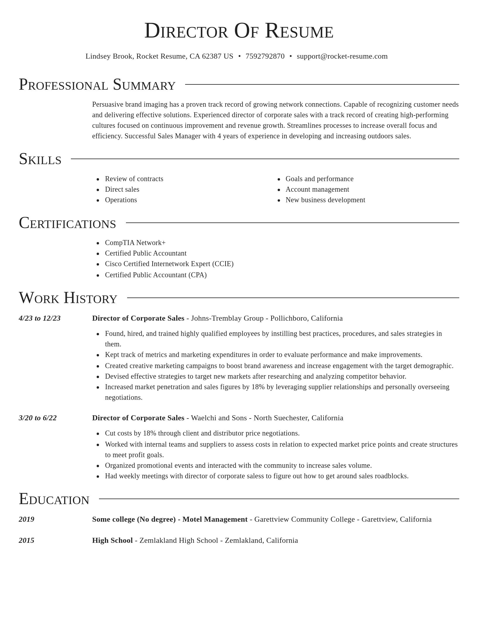Director resume template