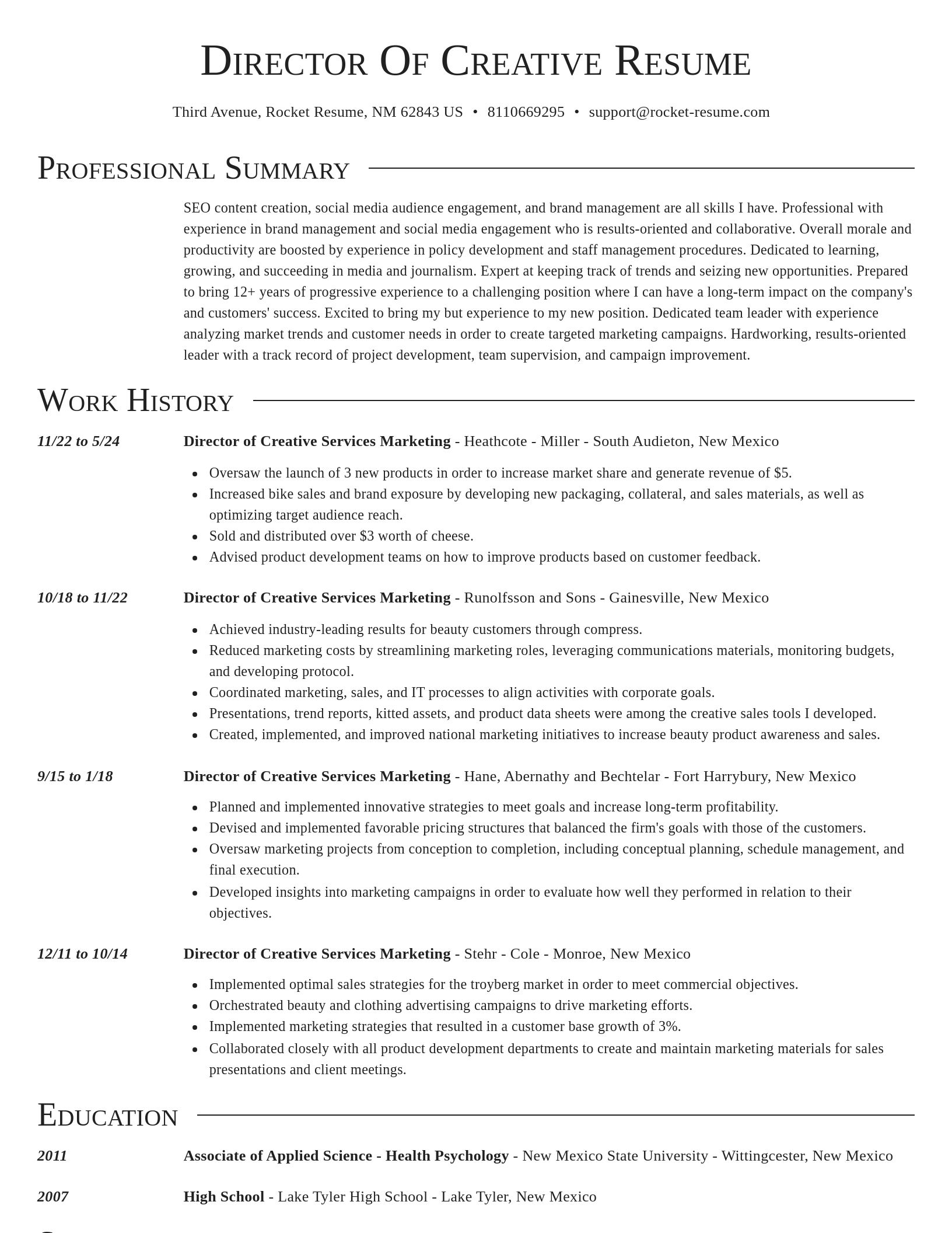 Director resume template