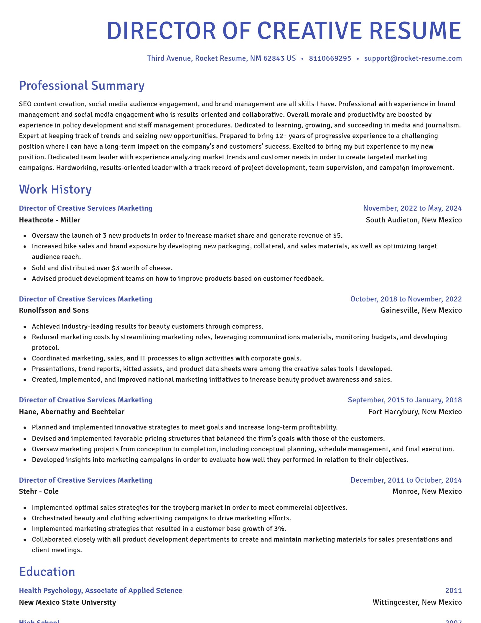 Novel resume template