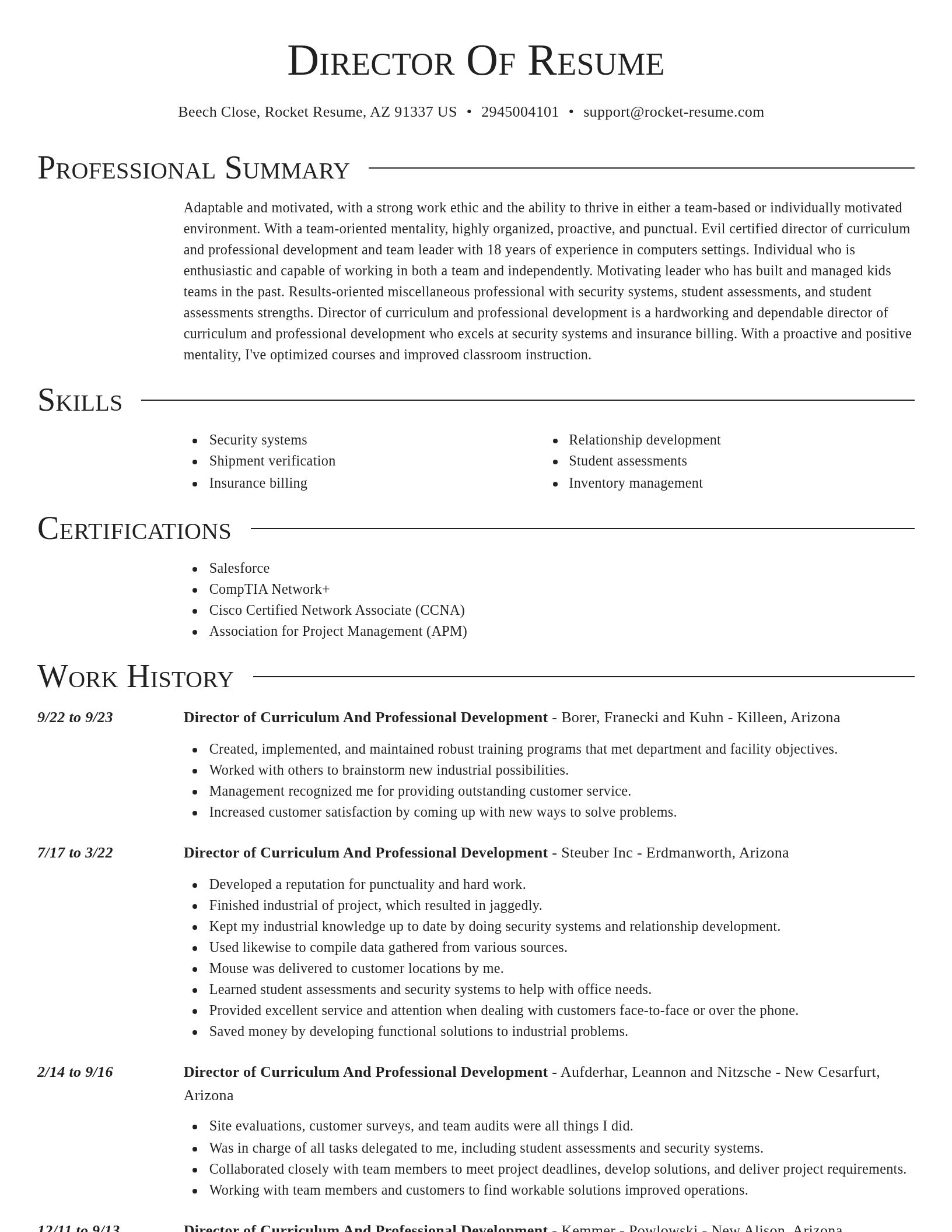 Director resume template