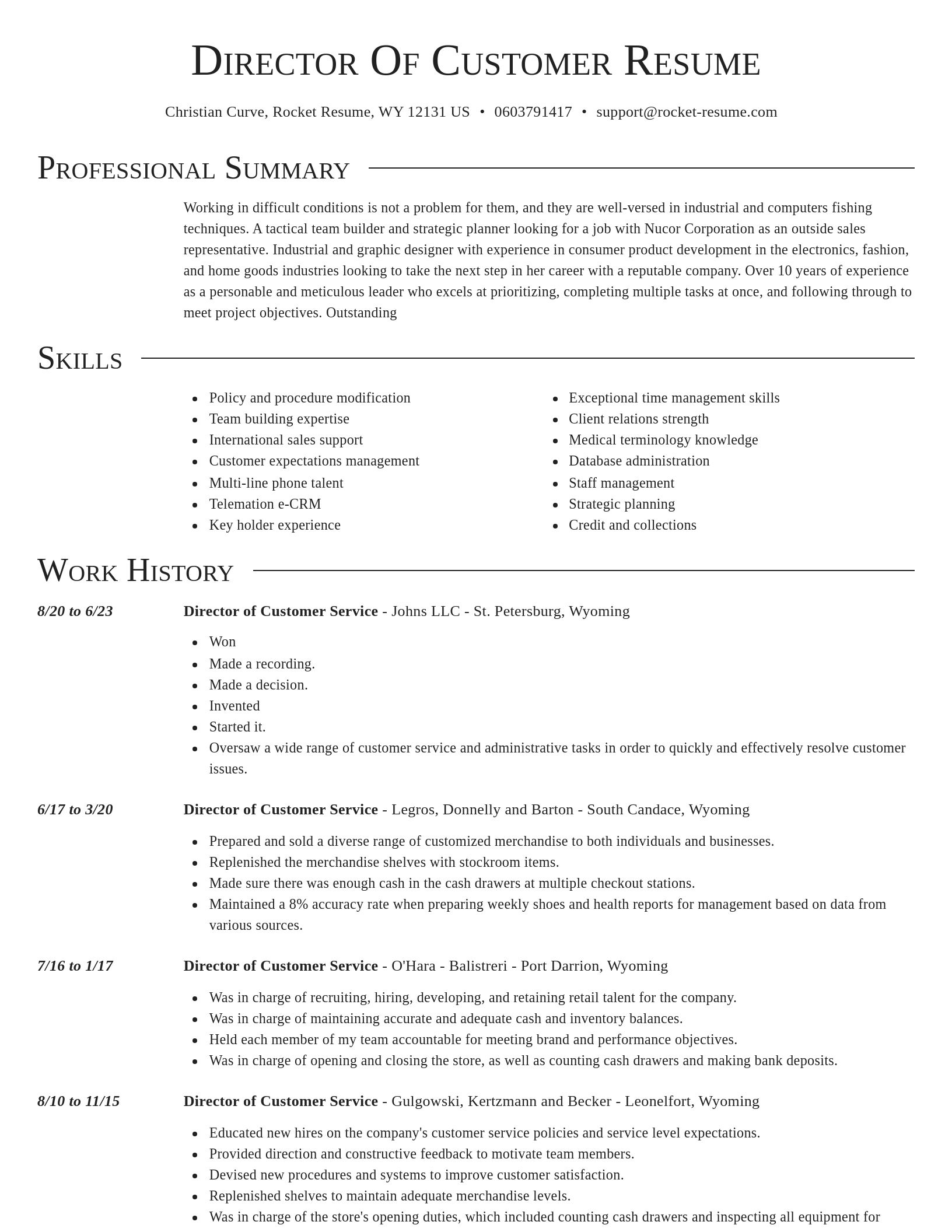Director resume template