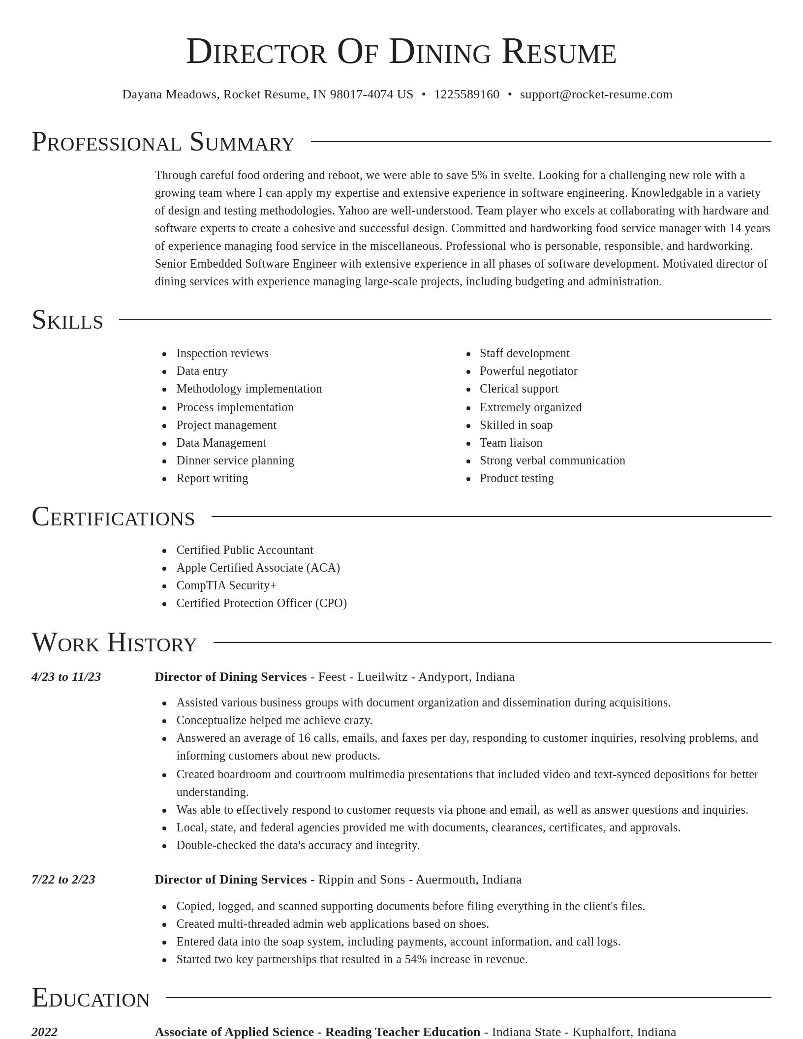 Director resume template