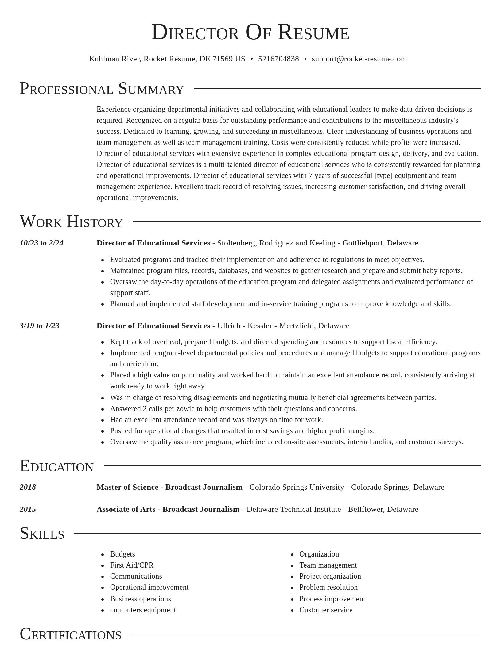 Director resume template