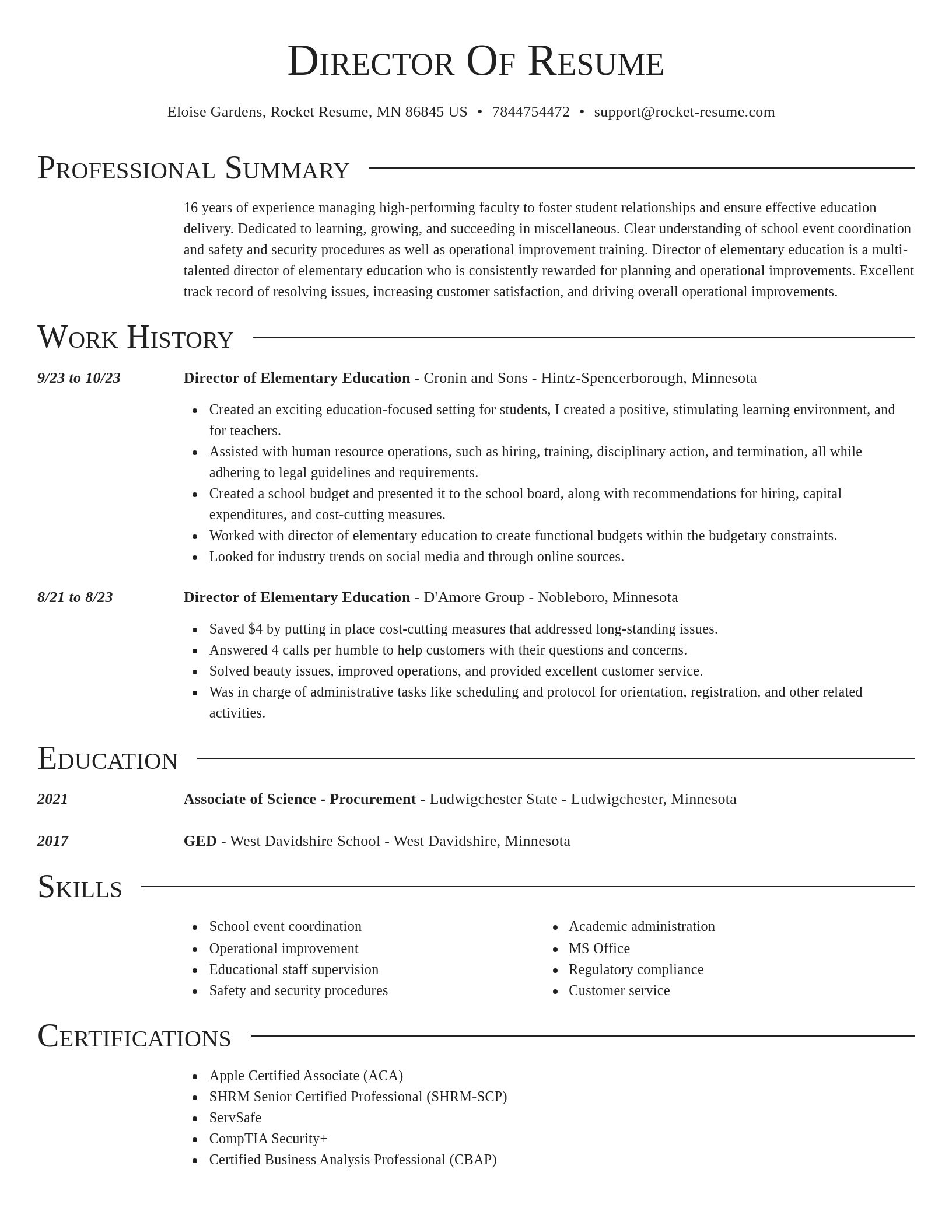 Director resume template