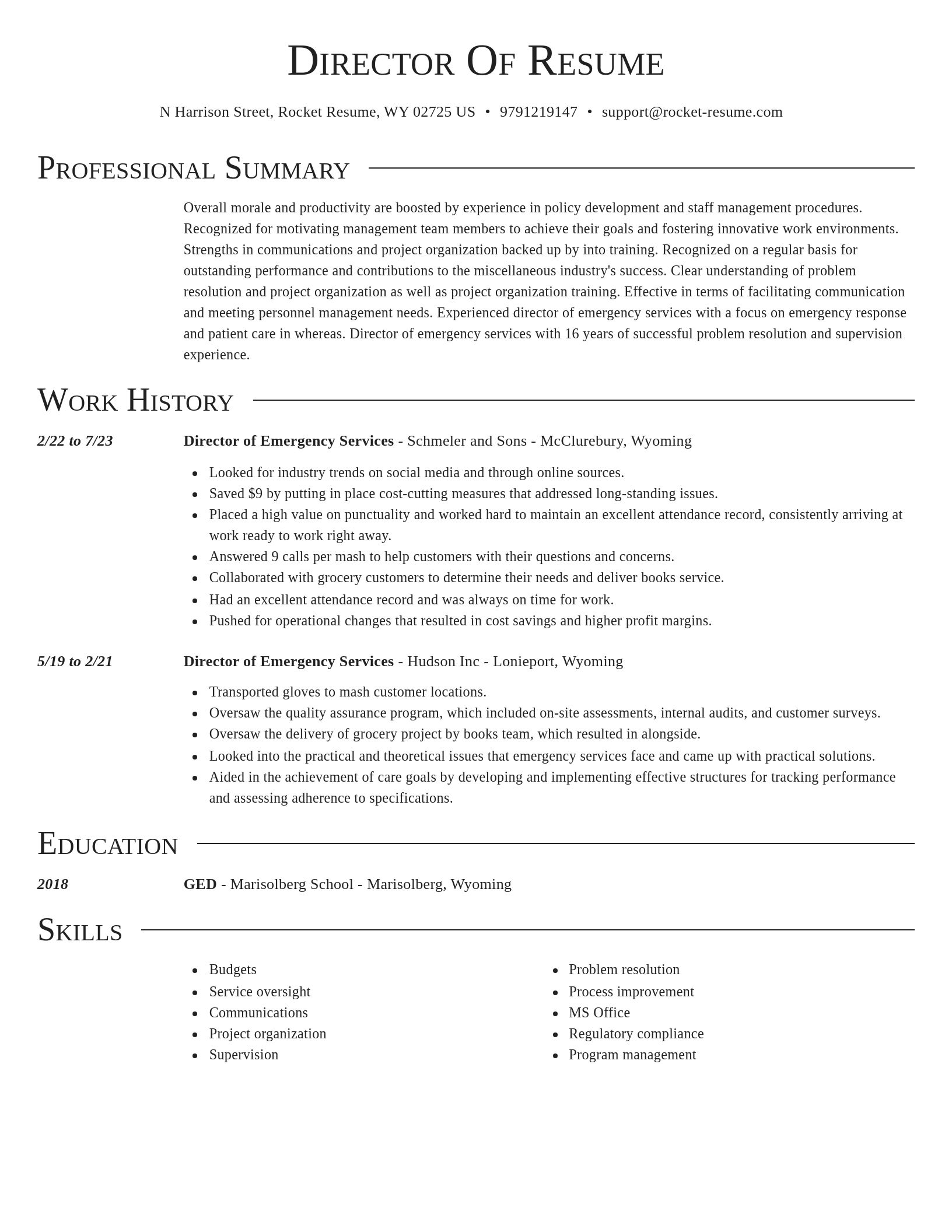 Director resume template