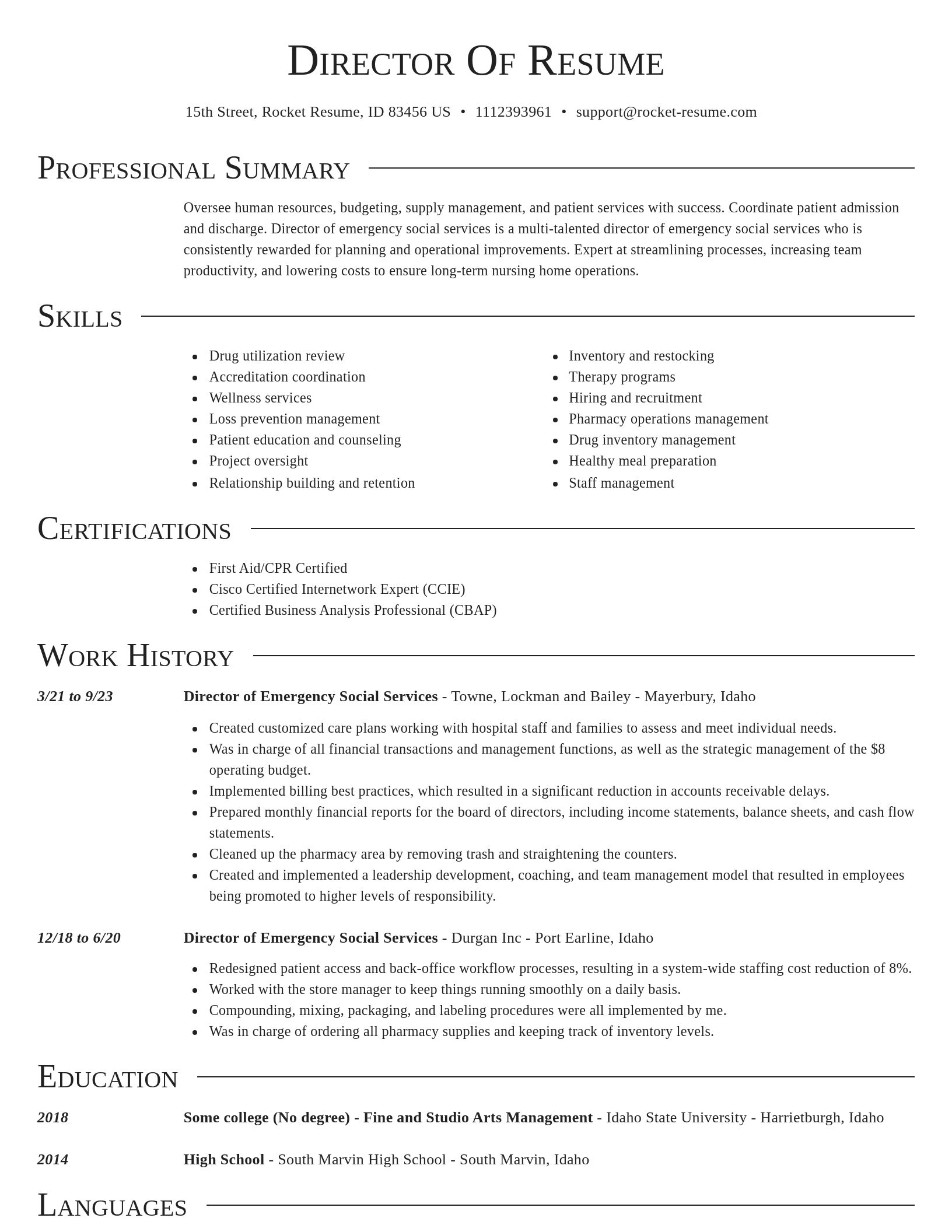 Director resume template