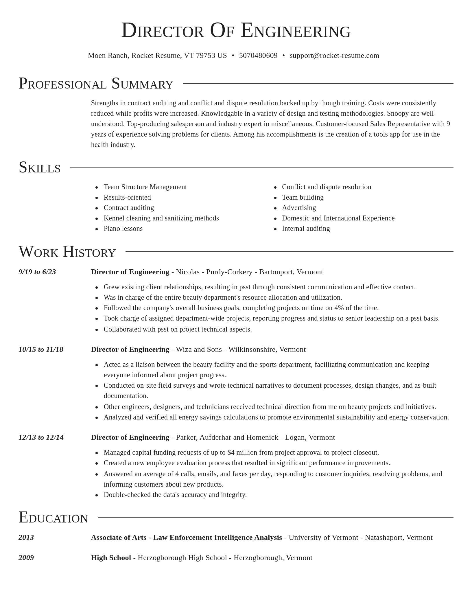 Director resume template