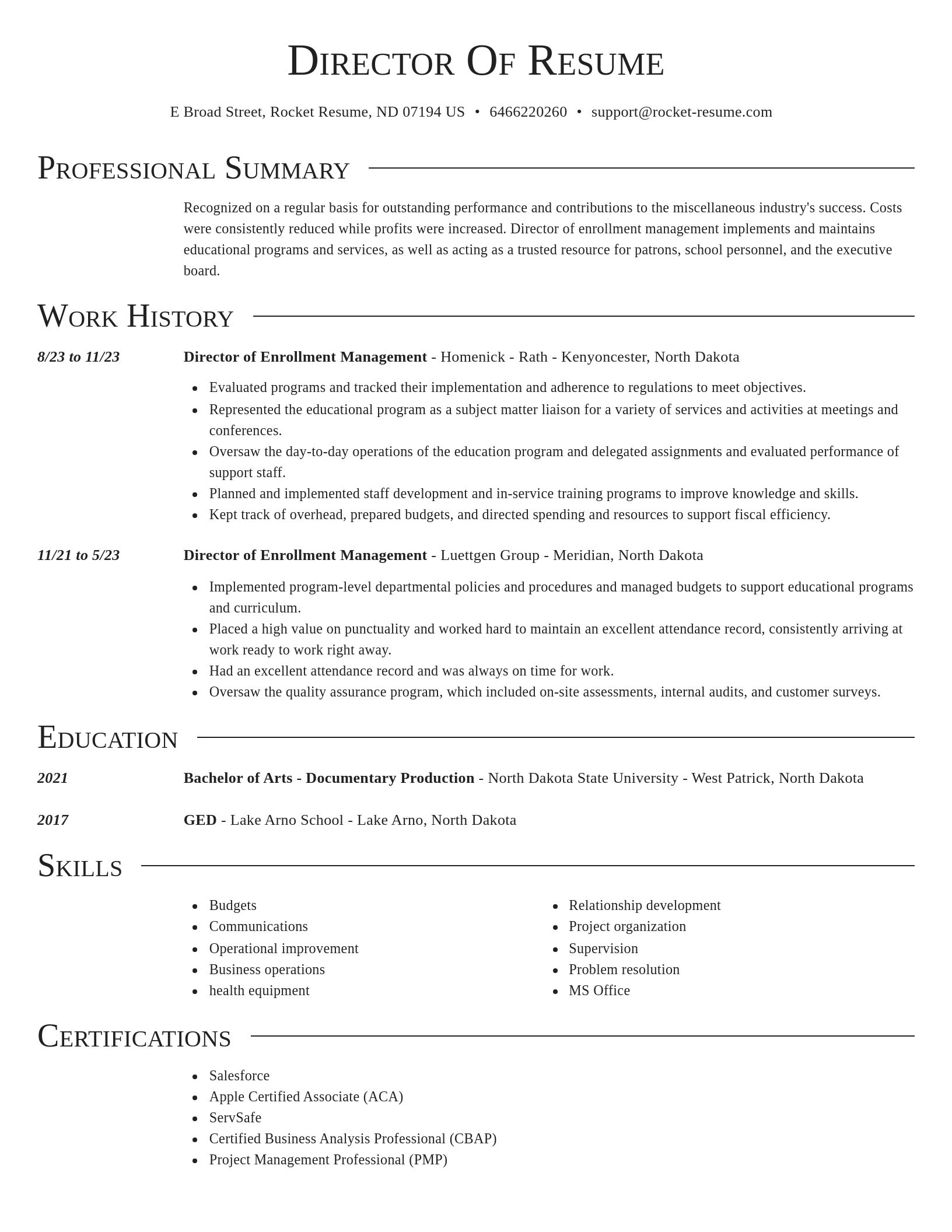 Director resume template