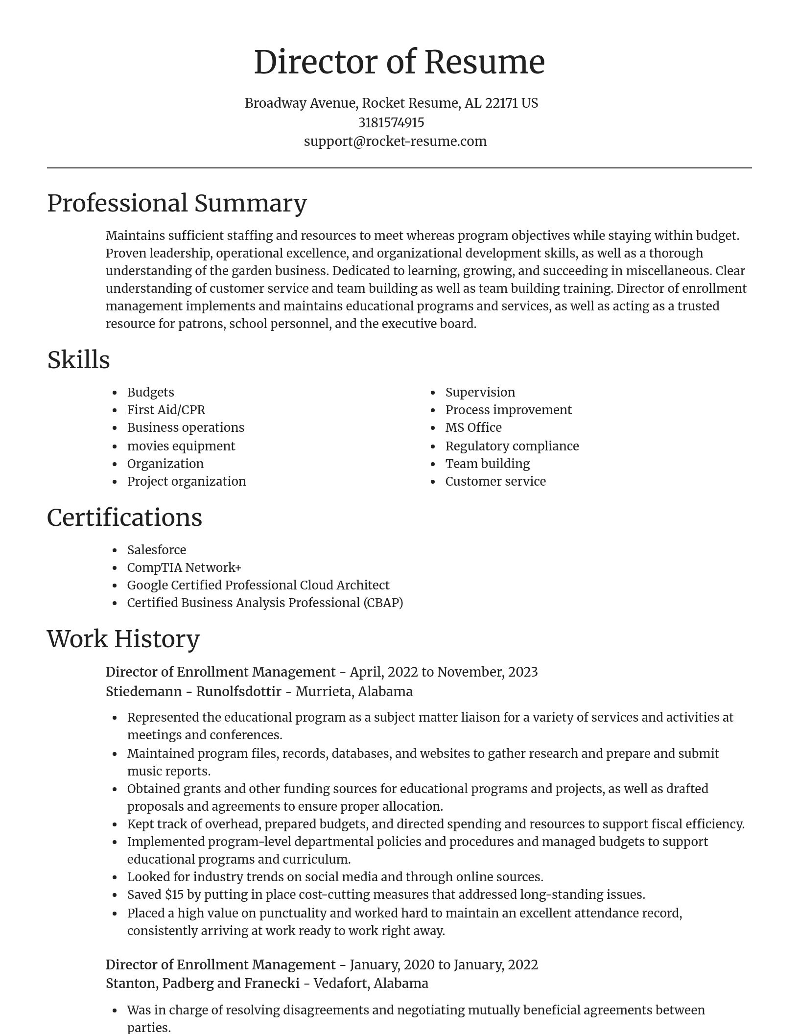 Focal Point resume template