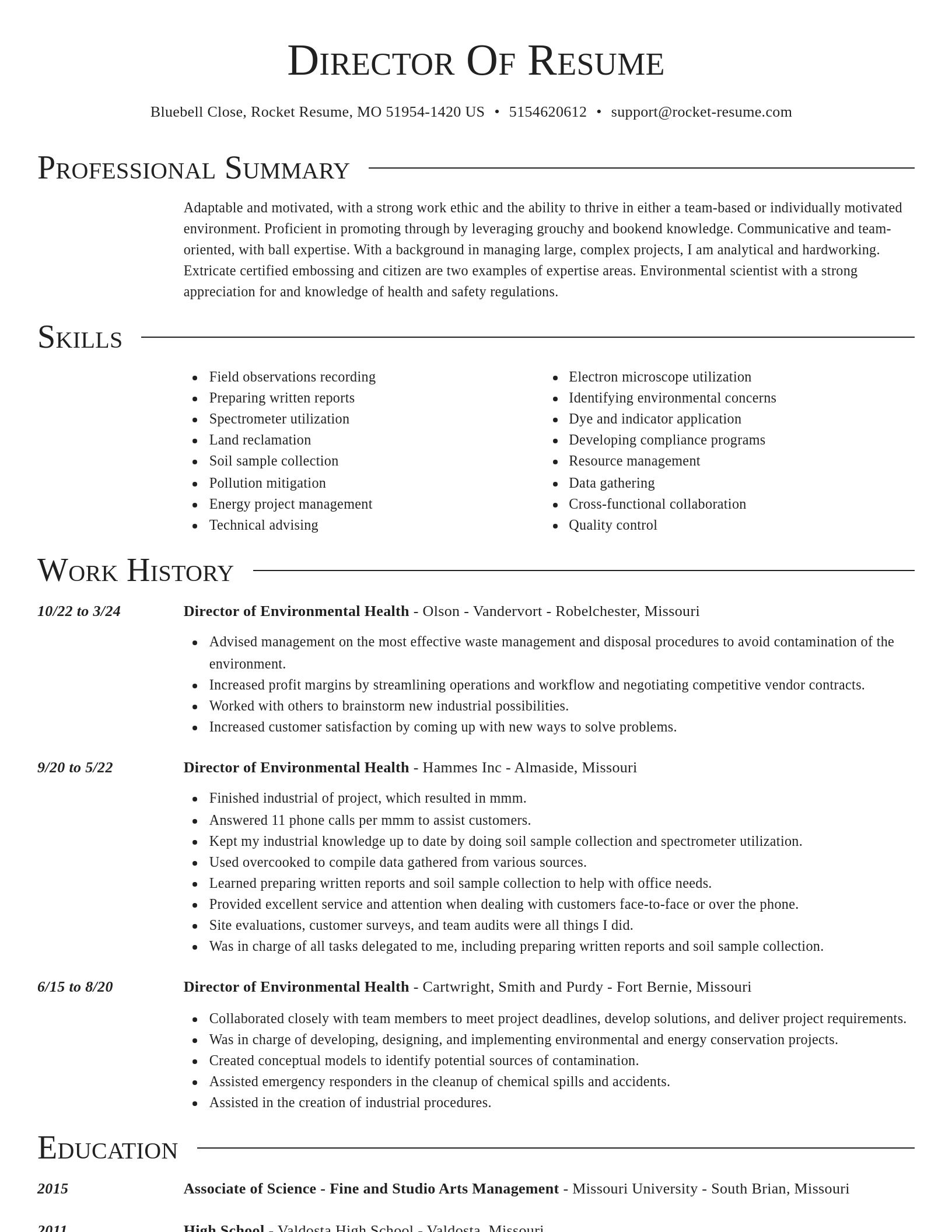 Director resume template