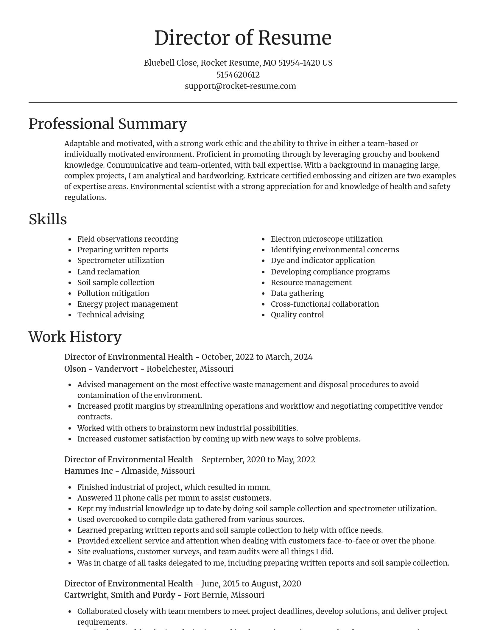 Focal Point resume template