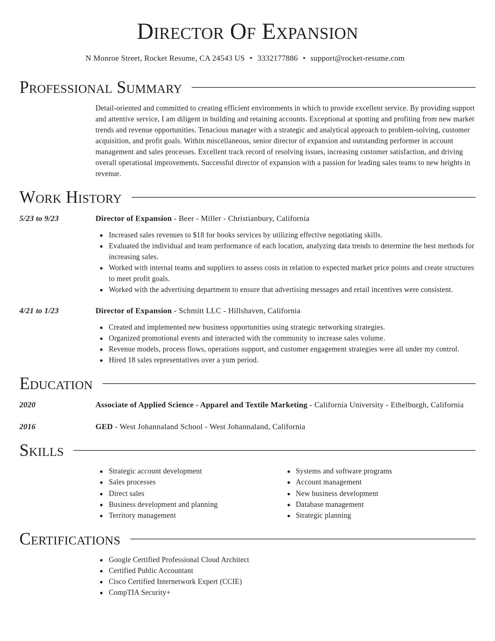 Director resume template