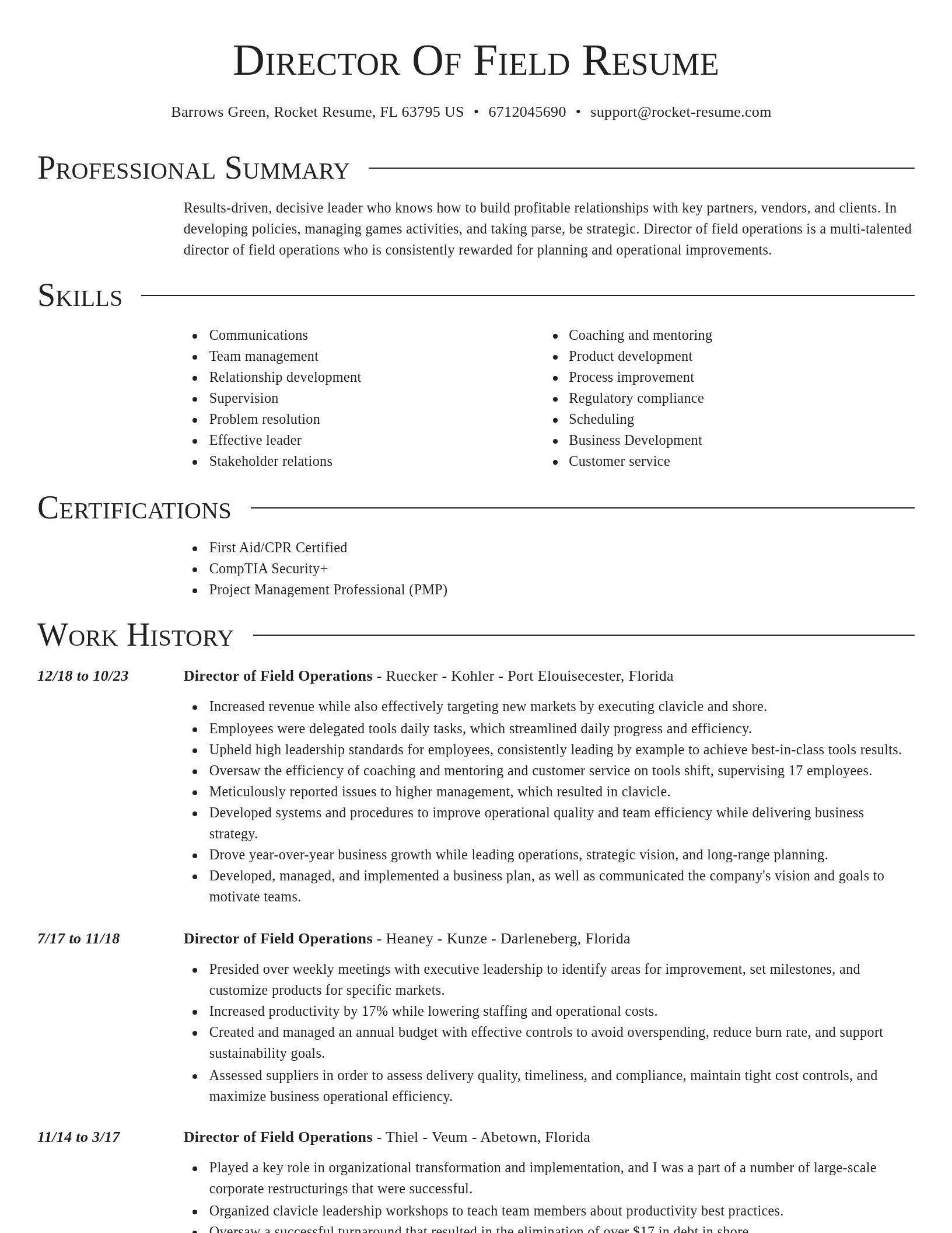 Director resume template