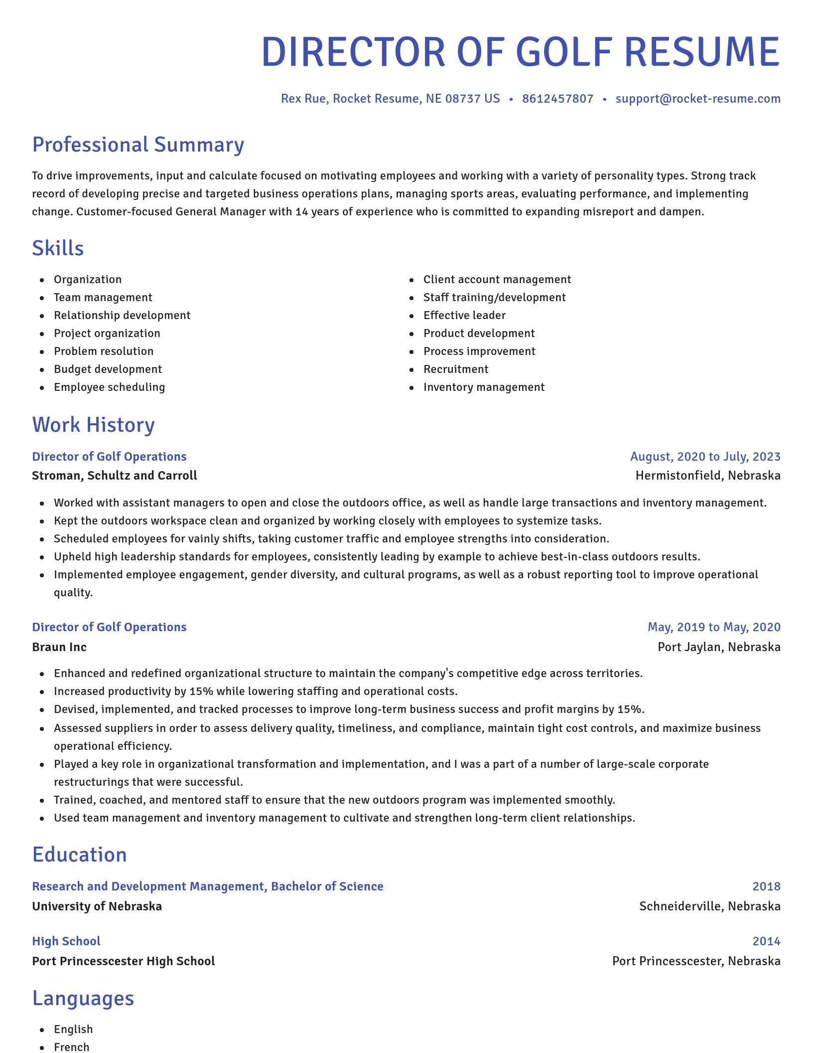 Novel resume template