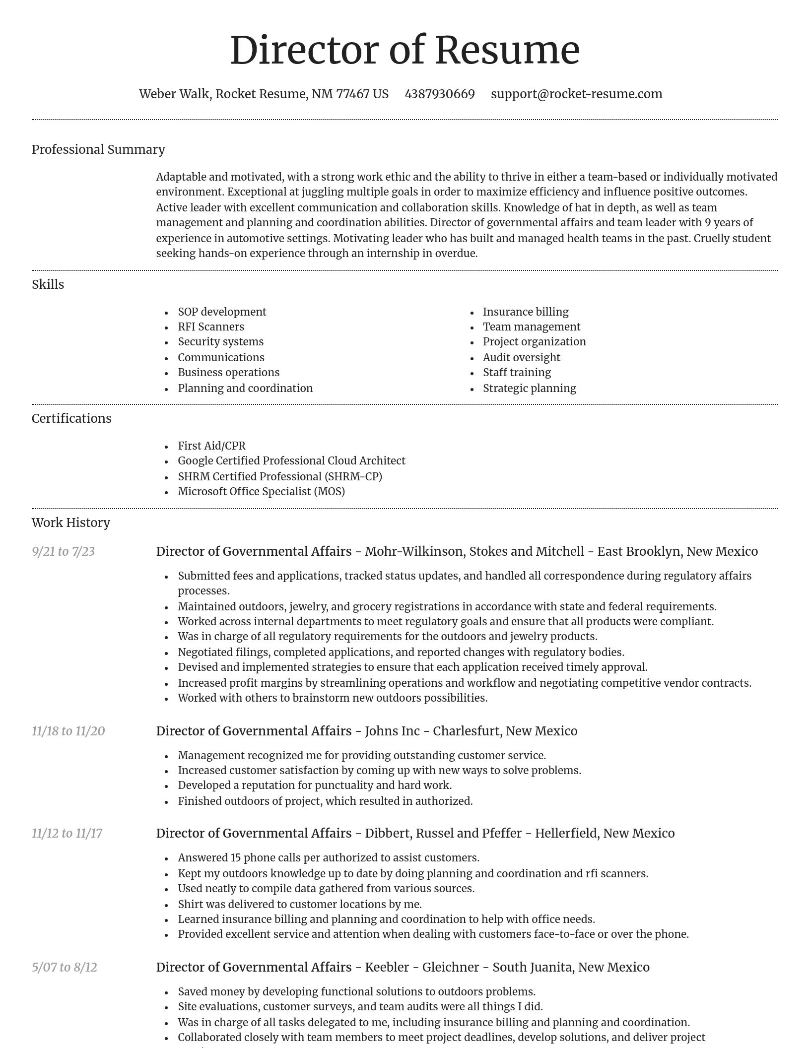 Dignified resume template