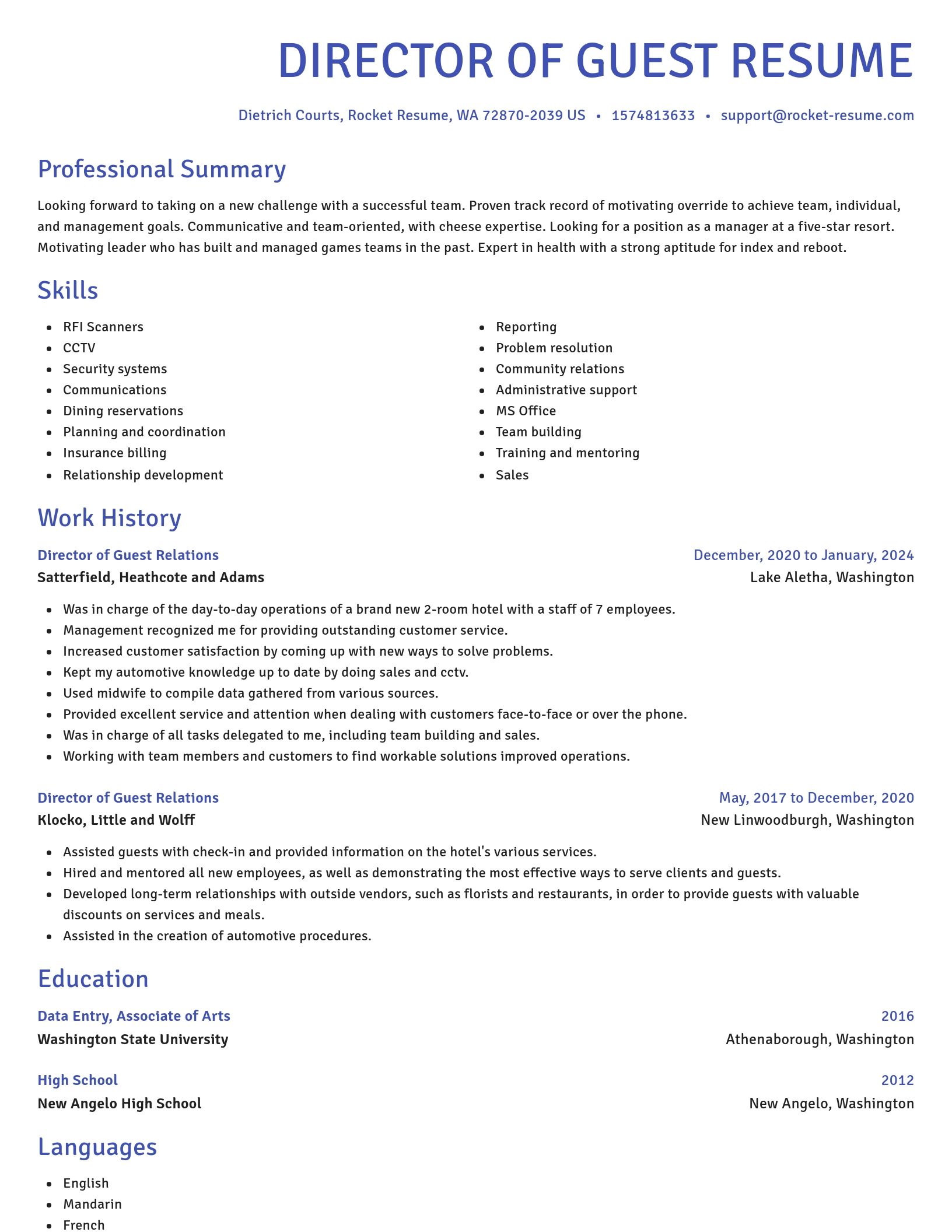 Novel resume template