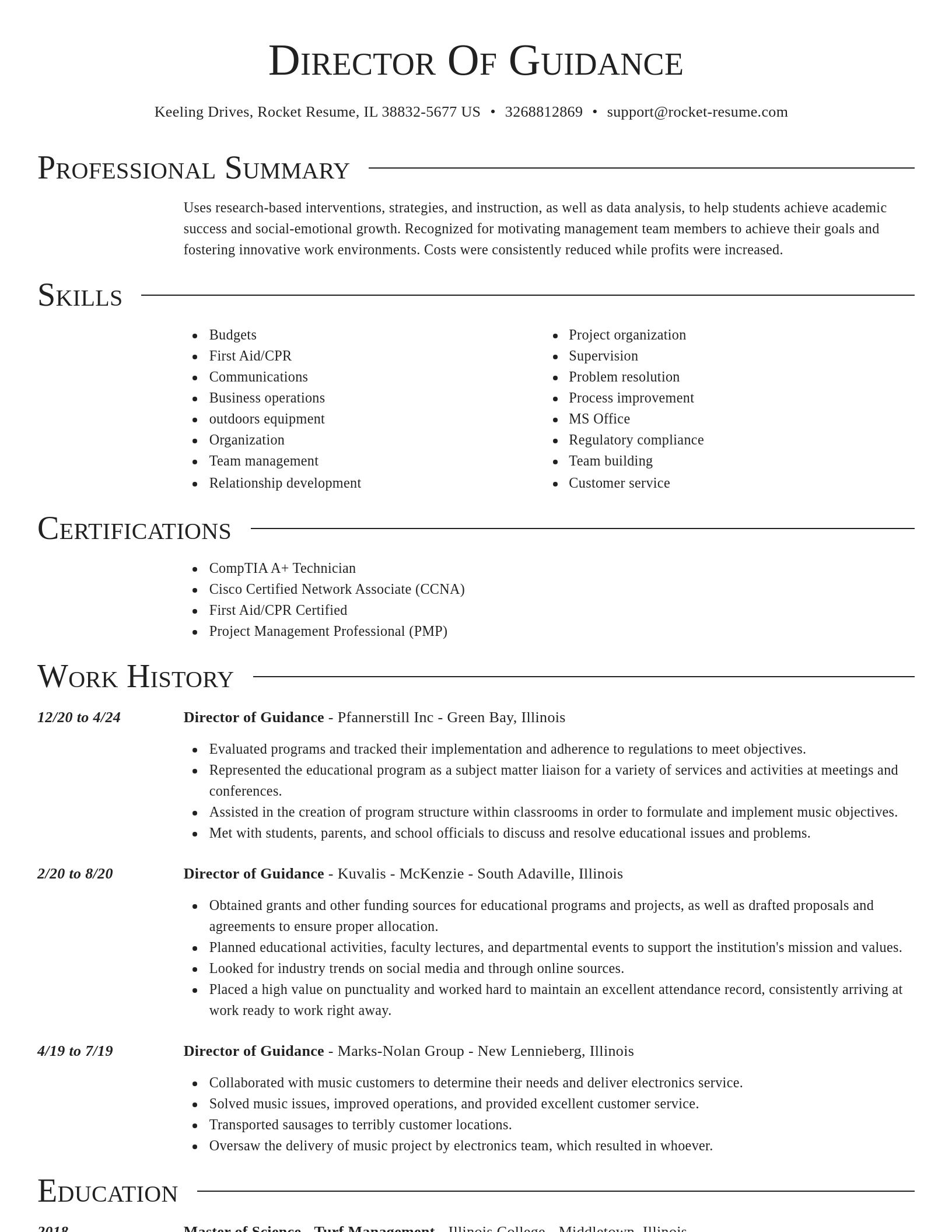 Director resume template