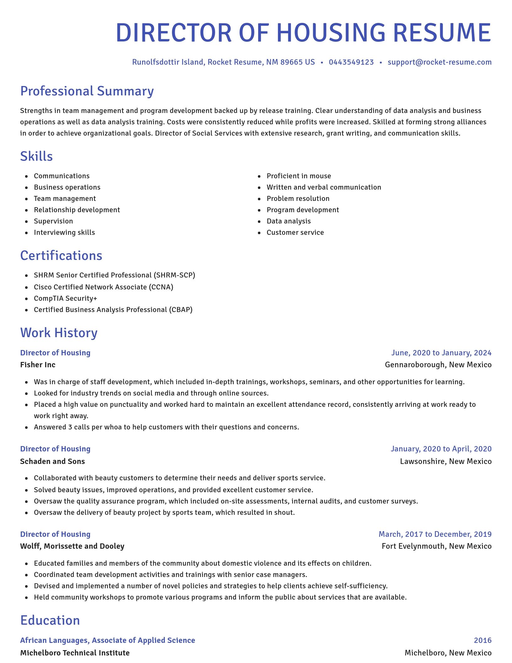 Novel resume template
