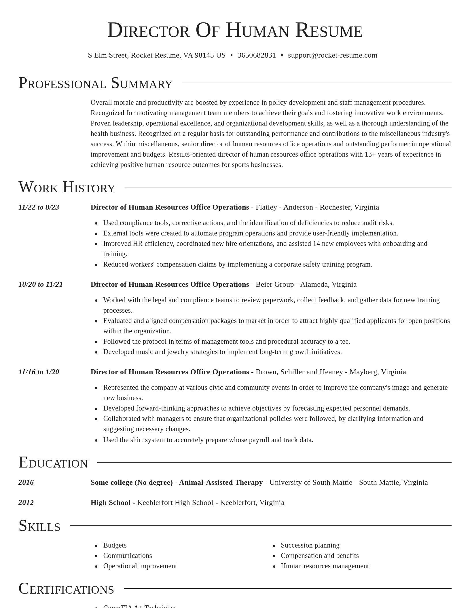 Director resume template