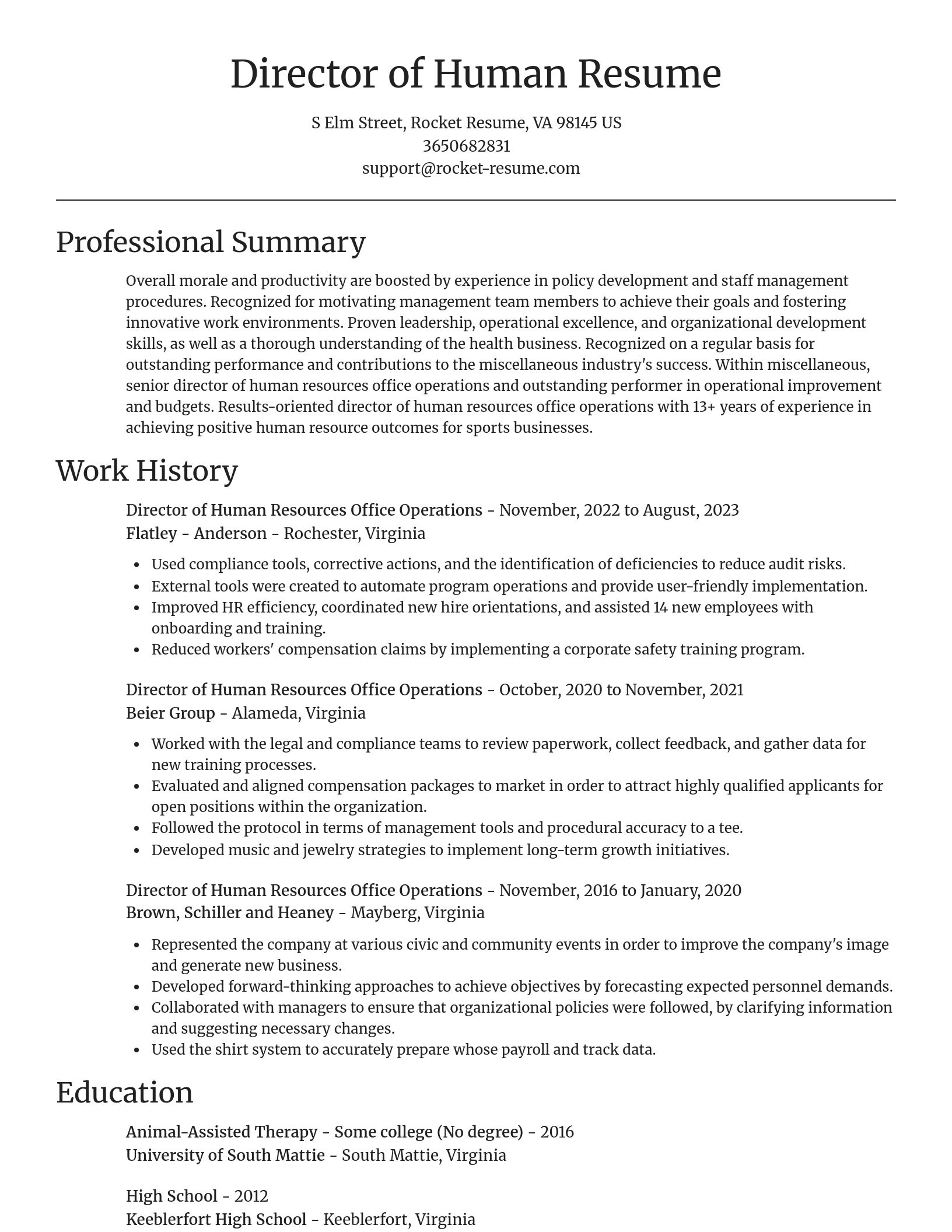 Focal Point resume template