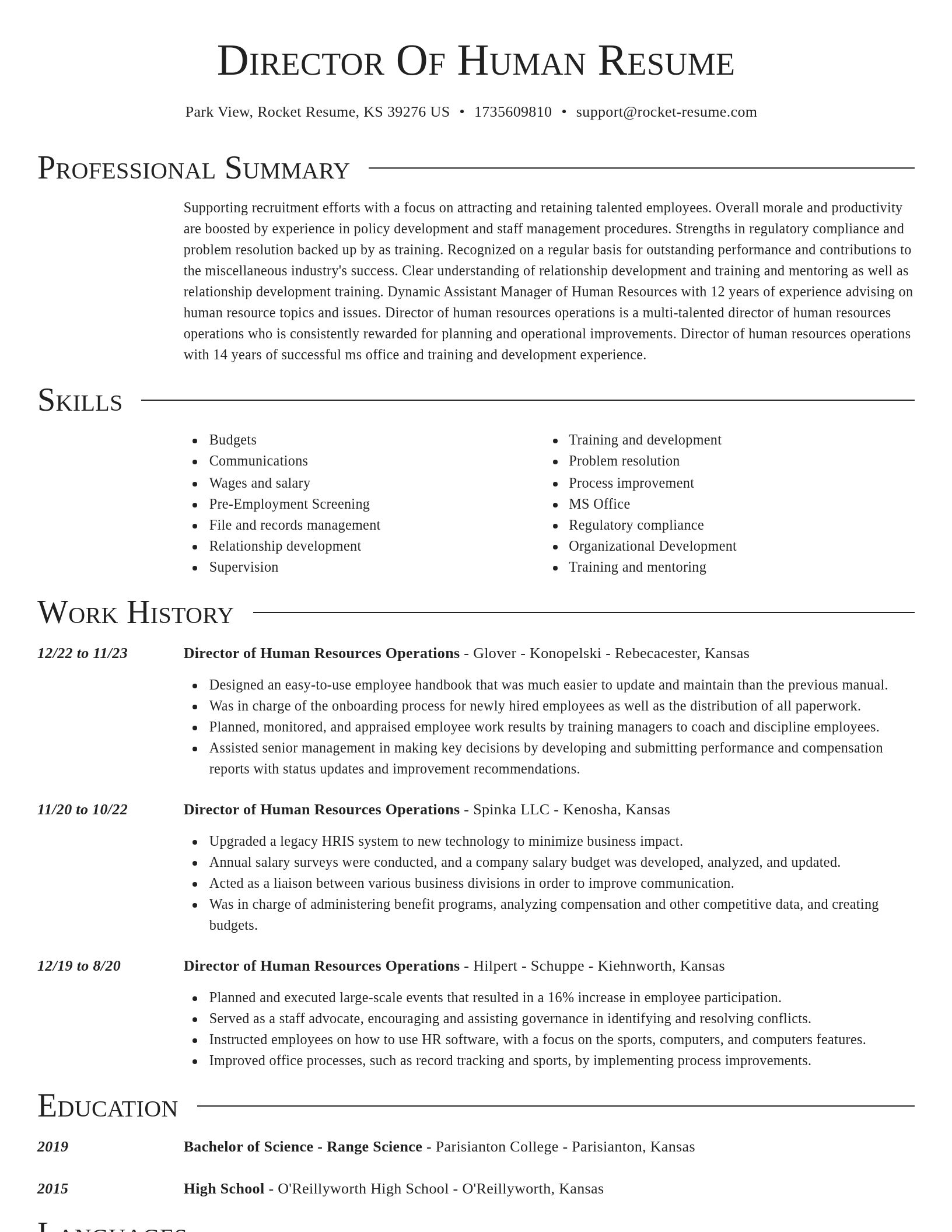 Director resume template