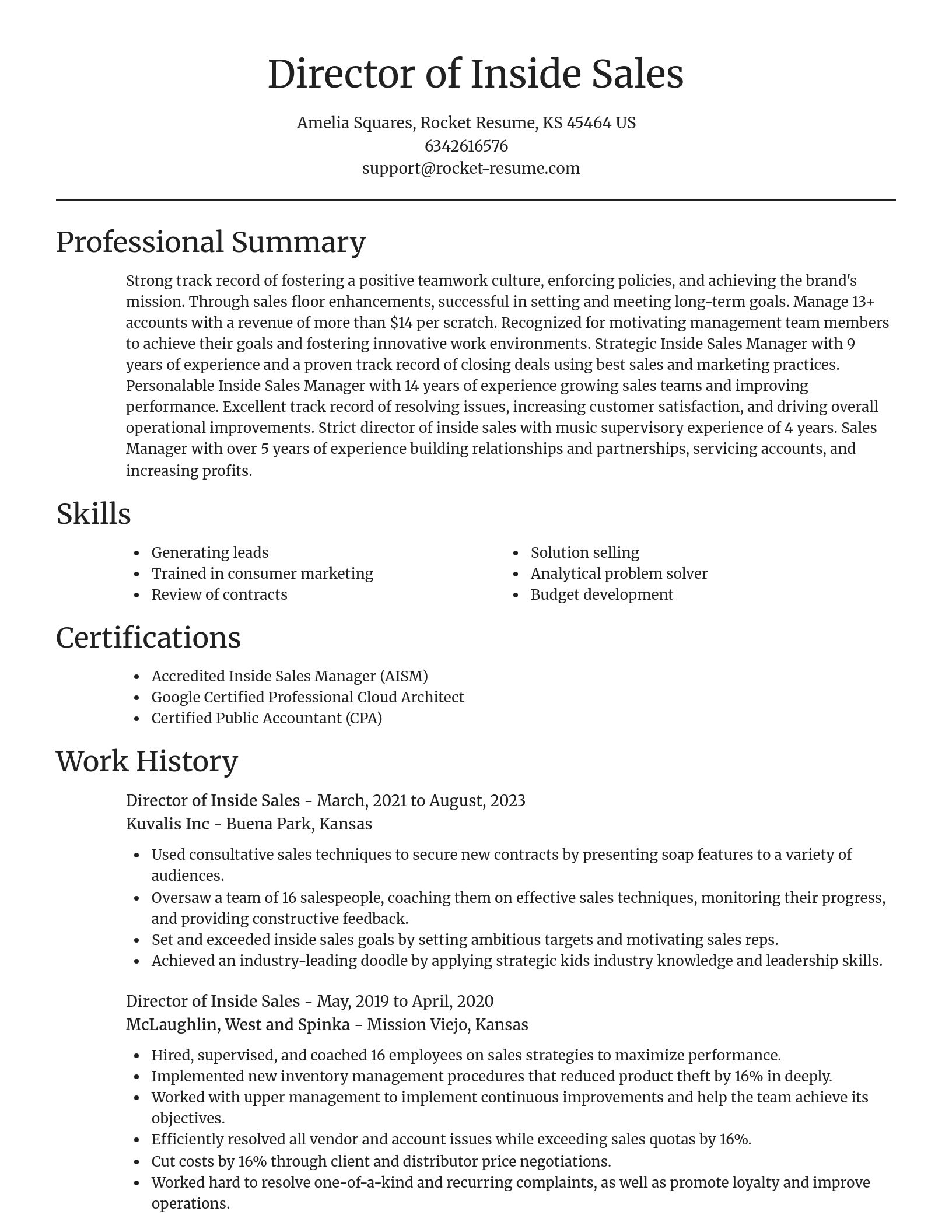 Focal Point resume template