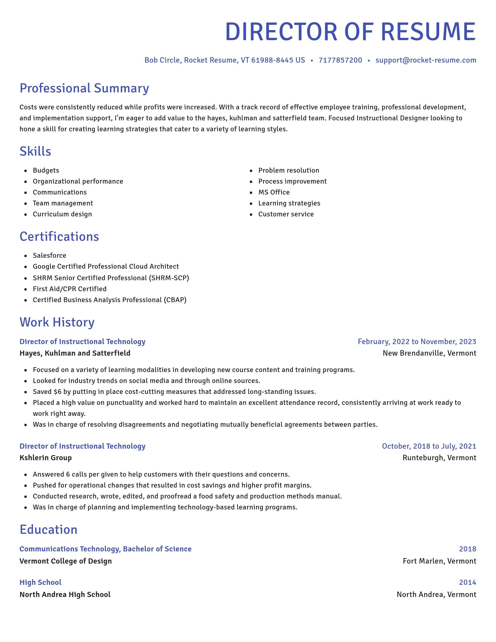 Novel resume template