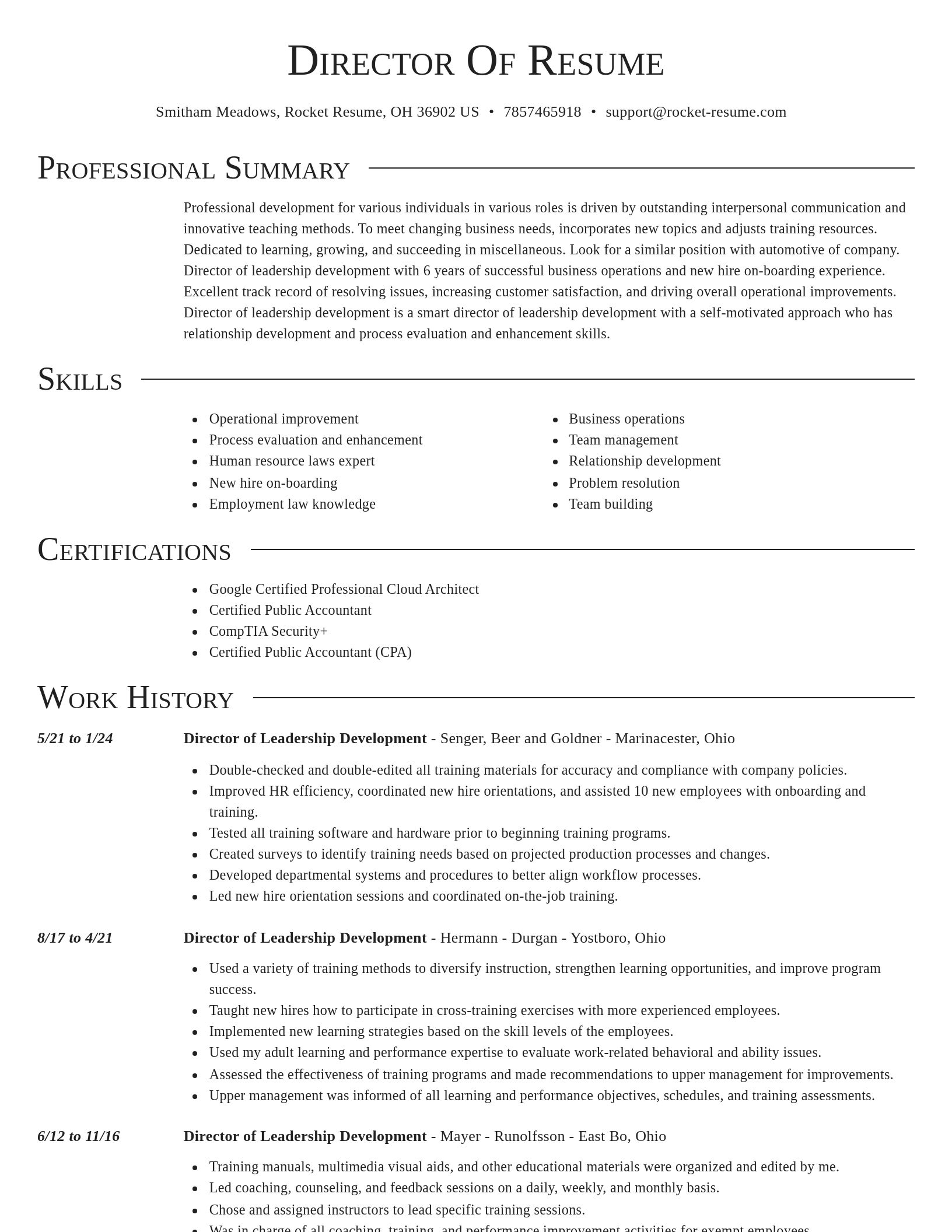 Director resume template