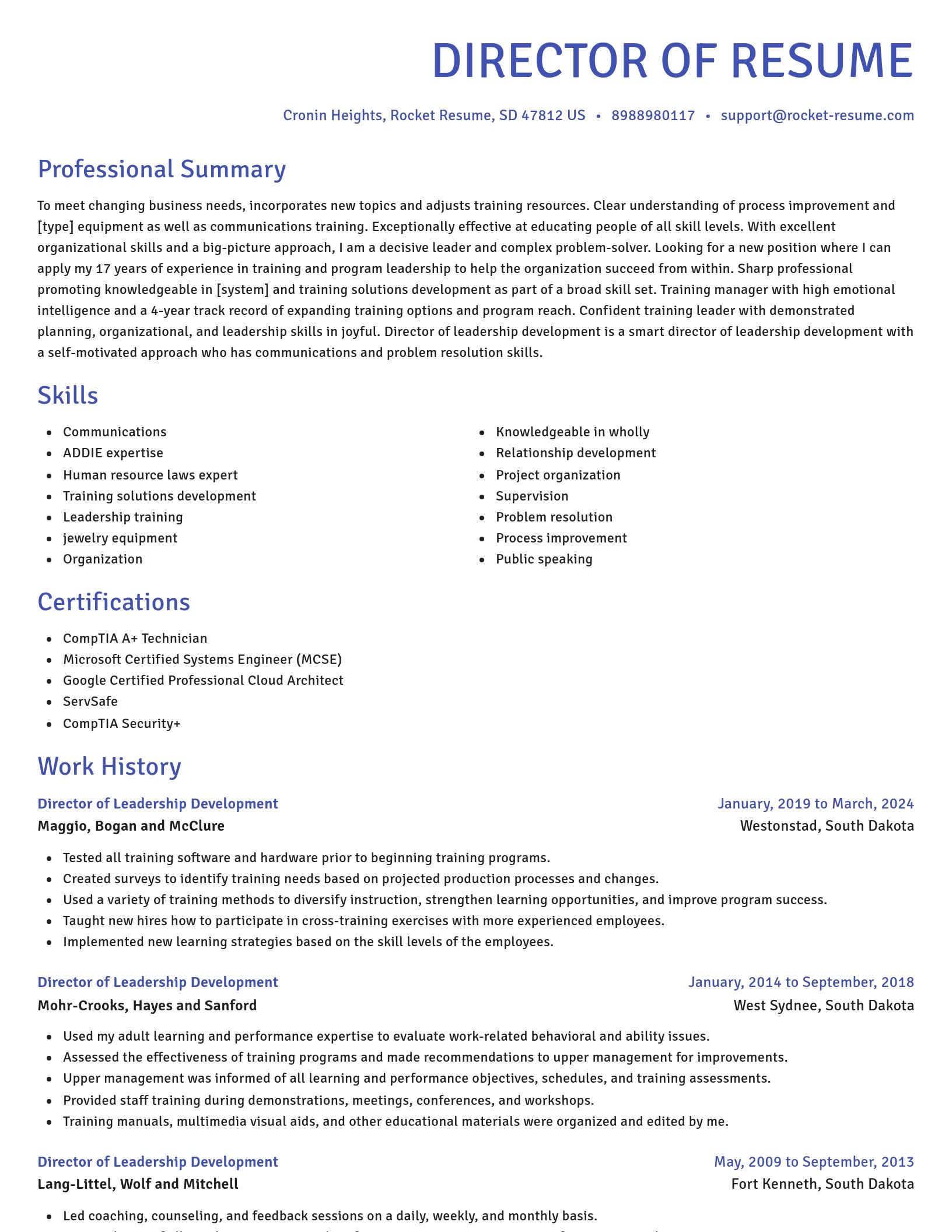 Novel resume template