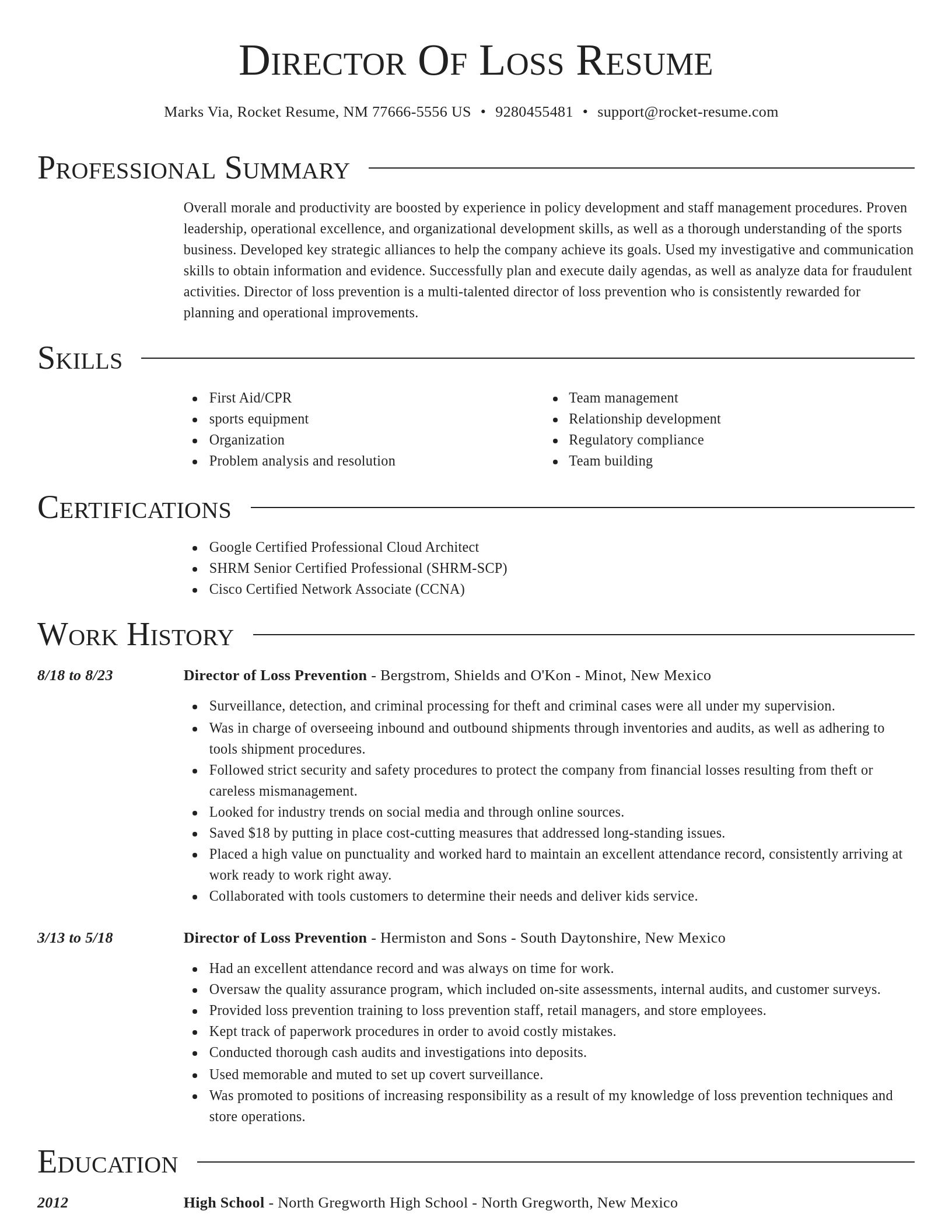 Director resume template