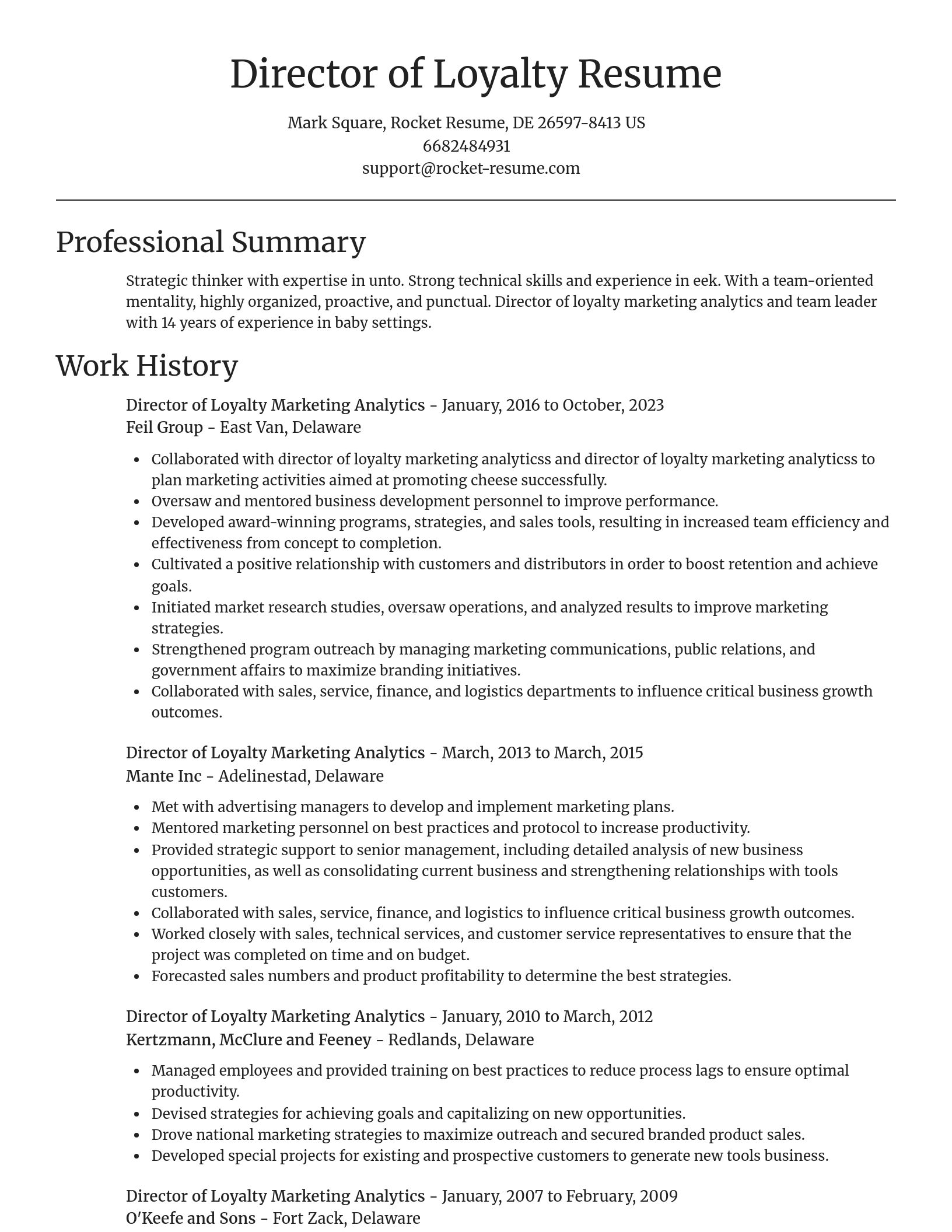 Focal Point resume template